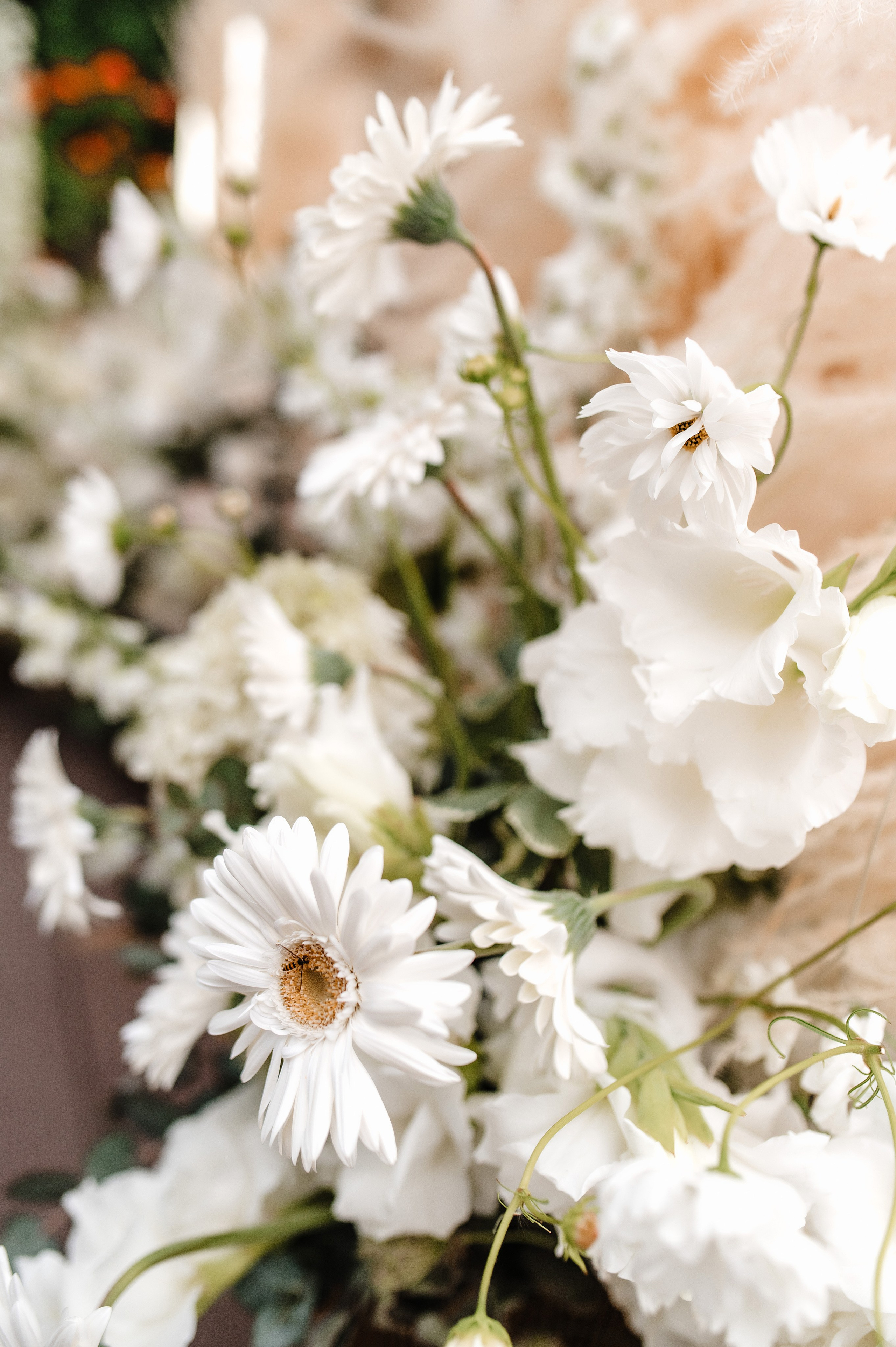 Весілля Діма & Влада. Весільний та портретний фотограф Кизим Арсен