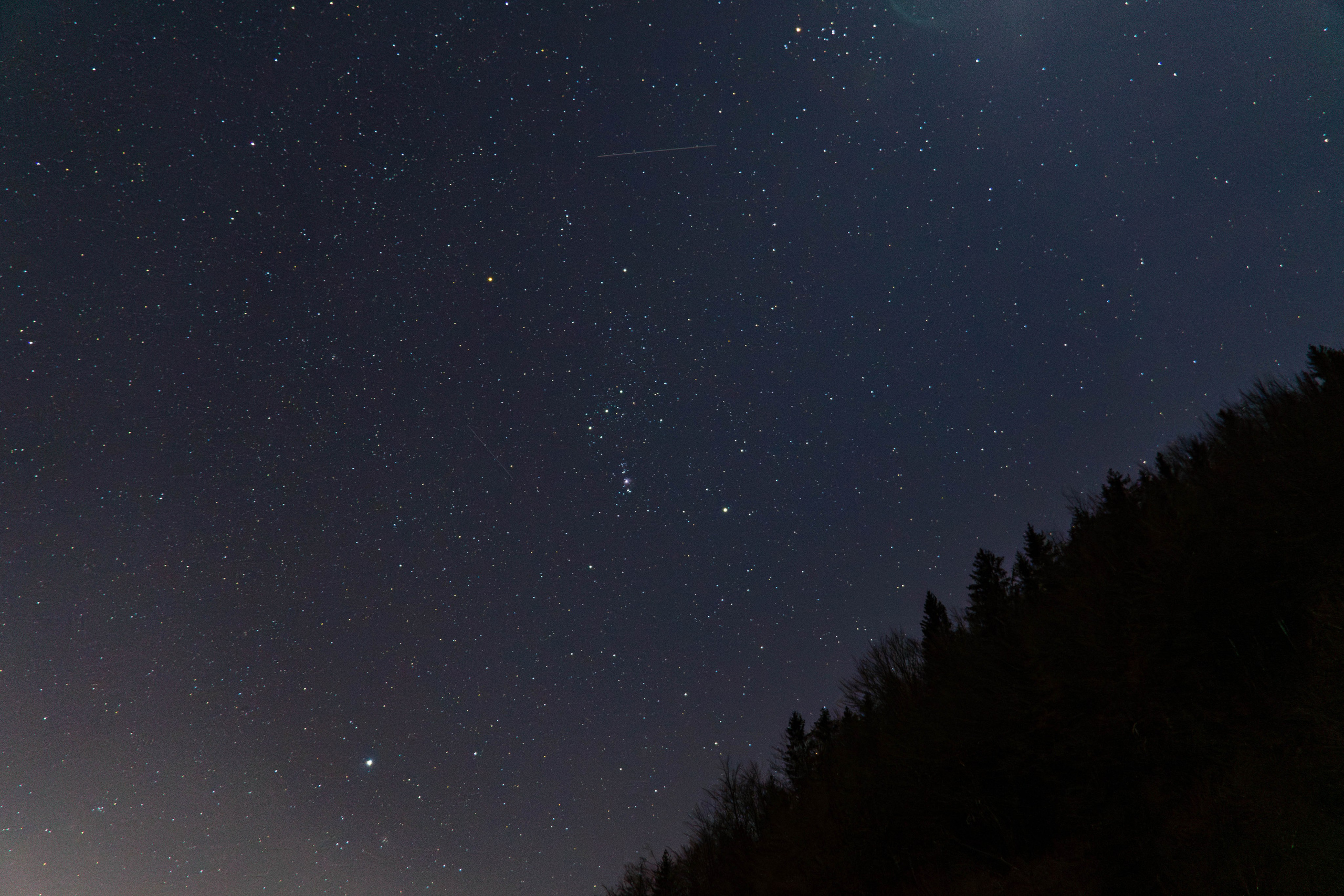 Nature. Alecsandru Braicu — Sports Photographer