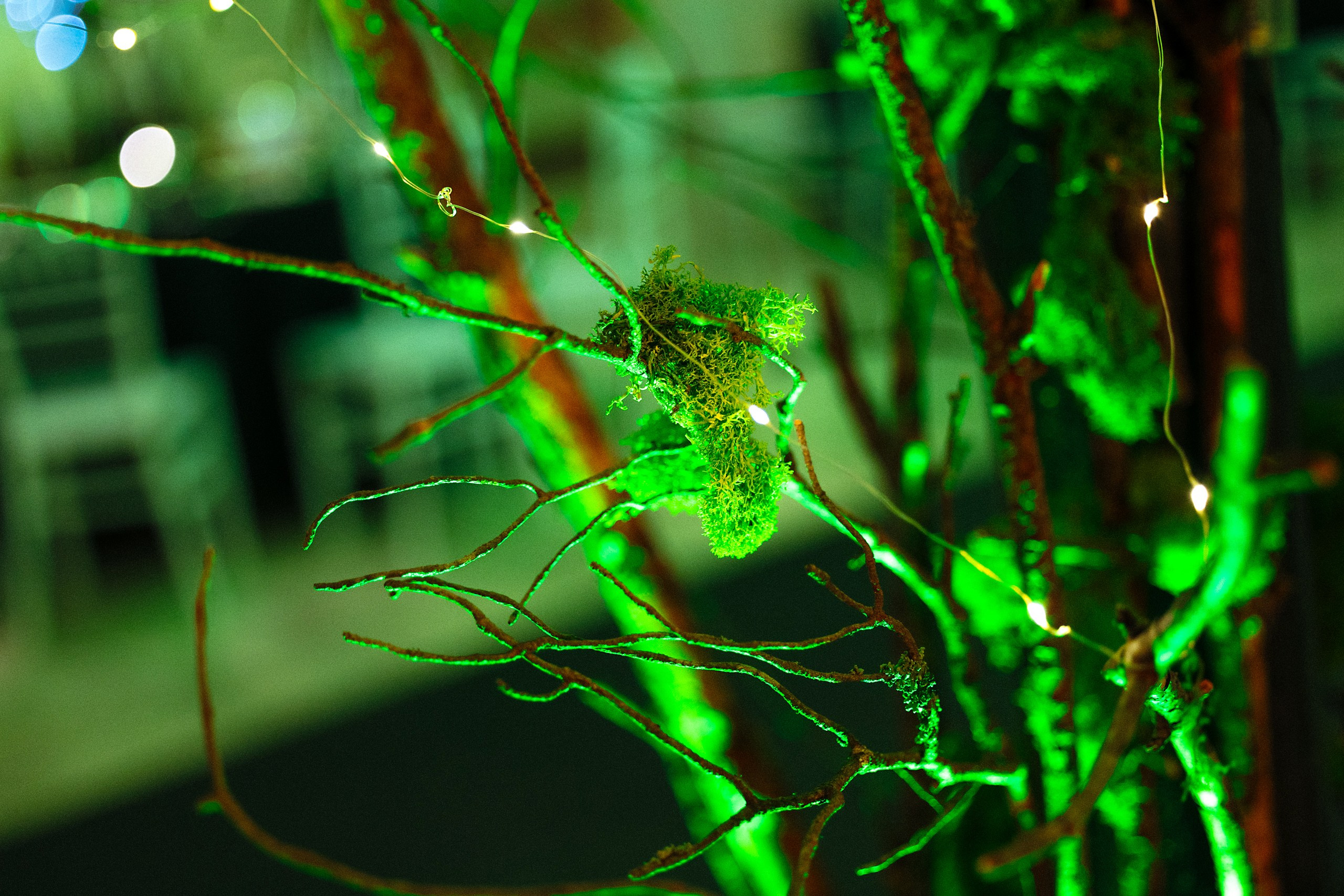 Magic Gala Corporate Photoshoot — IT Company Gala Event in Fantasy Costumes. Evgeny Timofeyev | Wedding & Content photographer and videographer