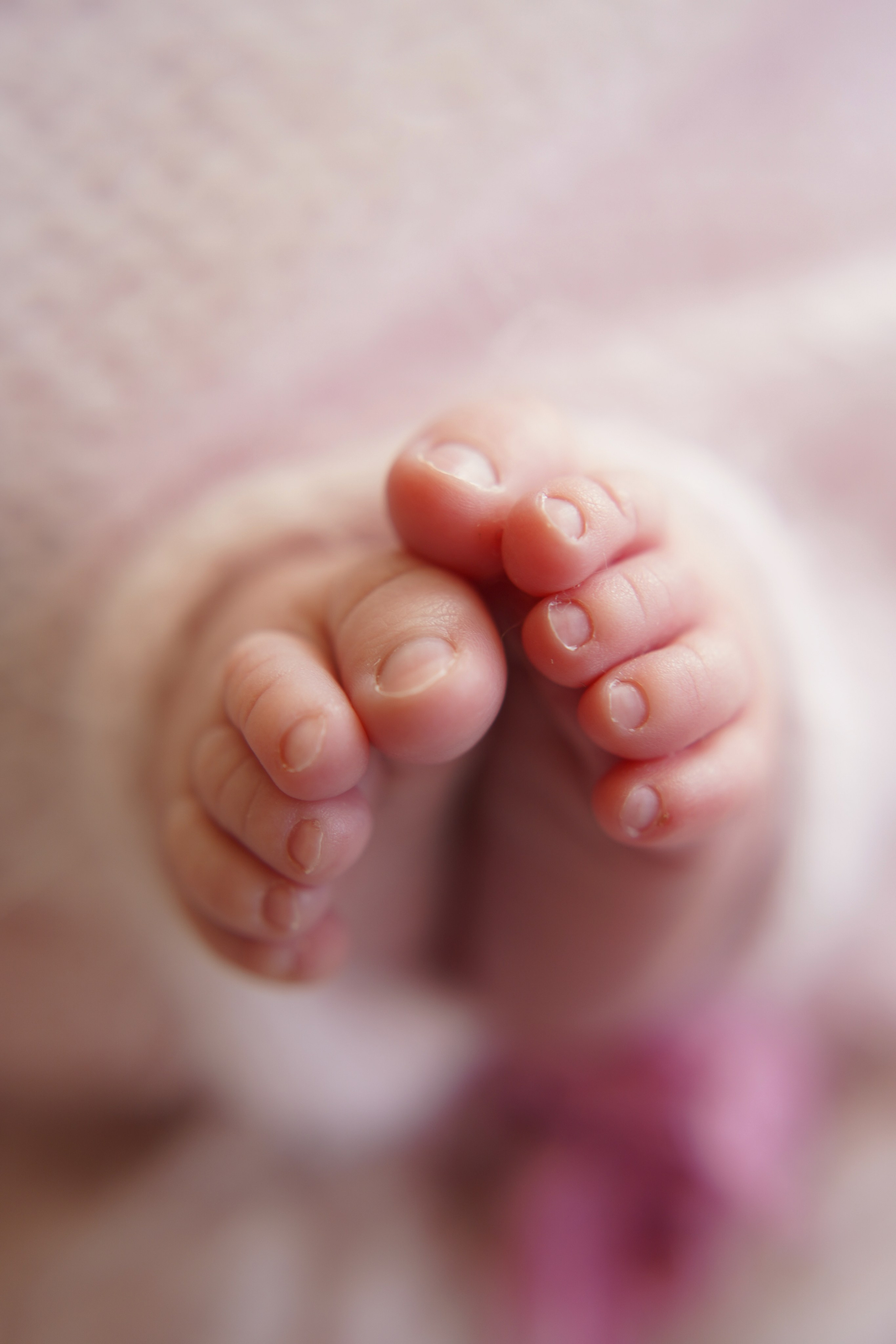 Newborn+Family. Maternity, family and newborn photography in San Francisco Bay Area