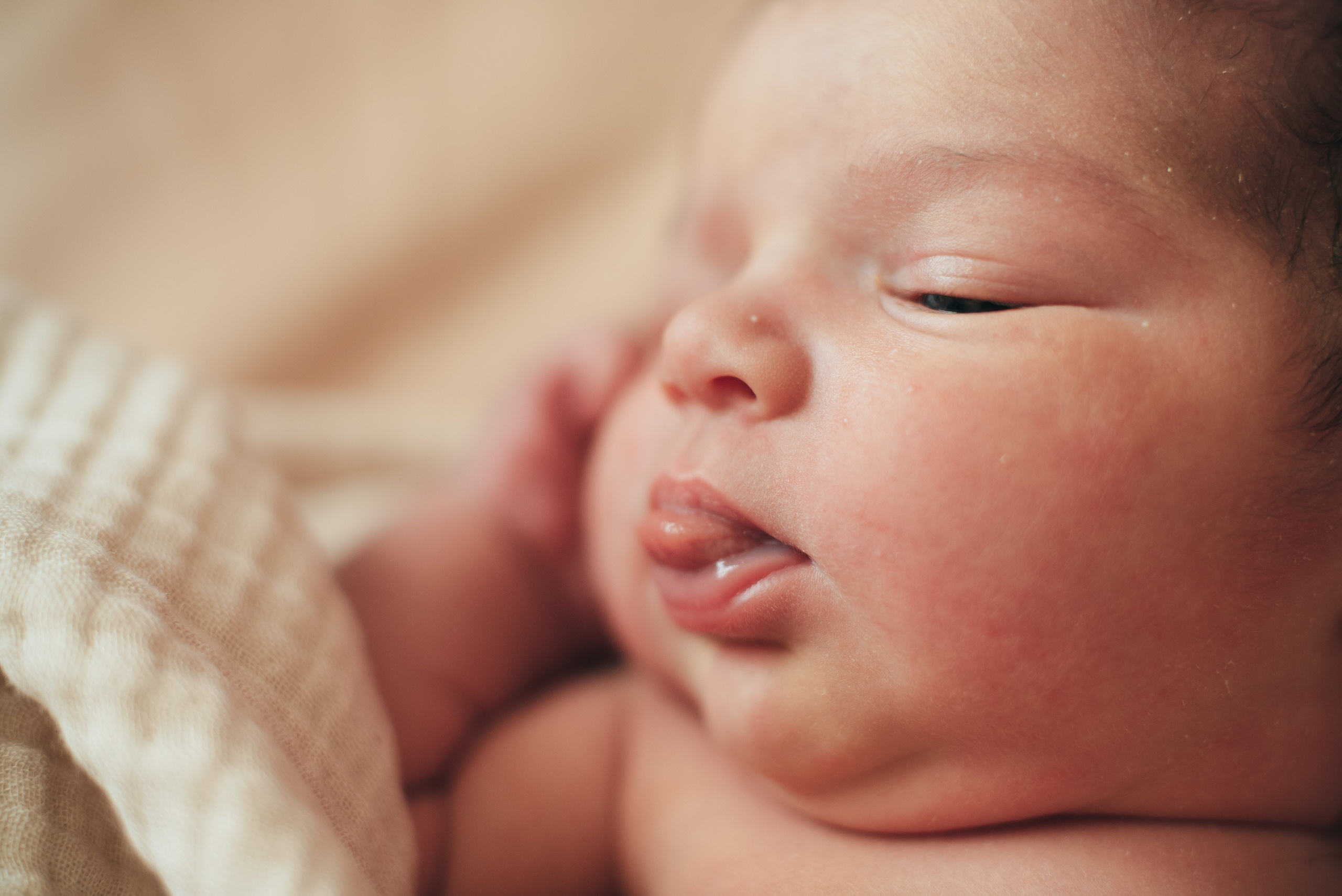 Fresh 48. Https://newbornphoto.wfolio.pro/me