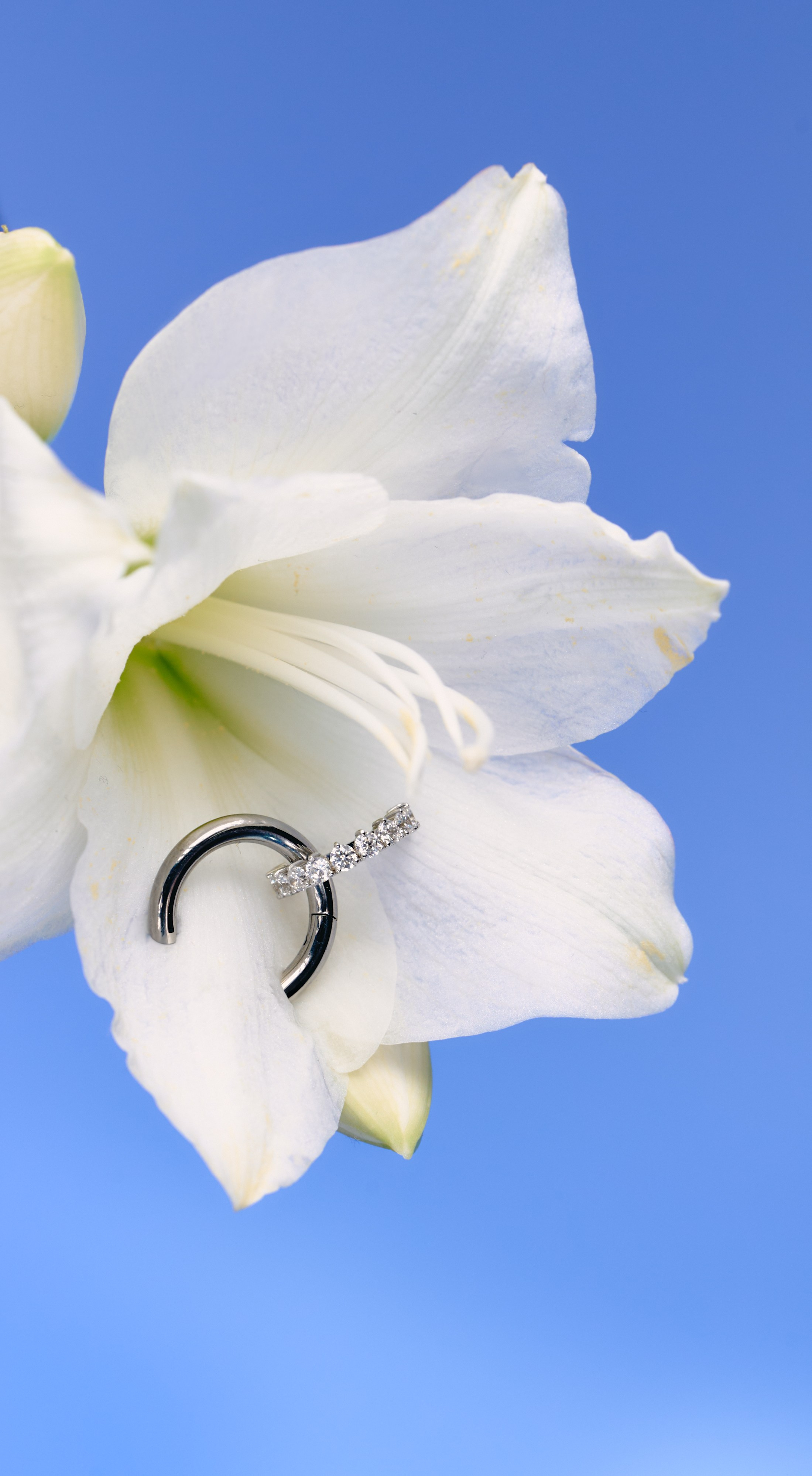 Fashion & Product. Photographer and videographer for business in Tbilisi Catrine Poznyak