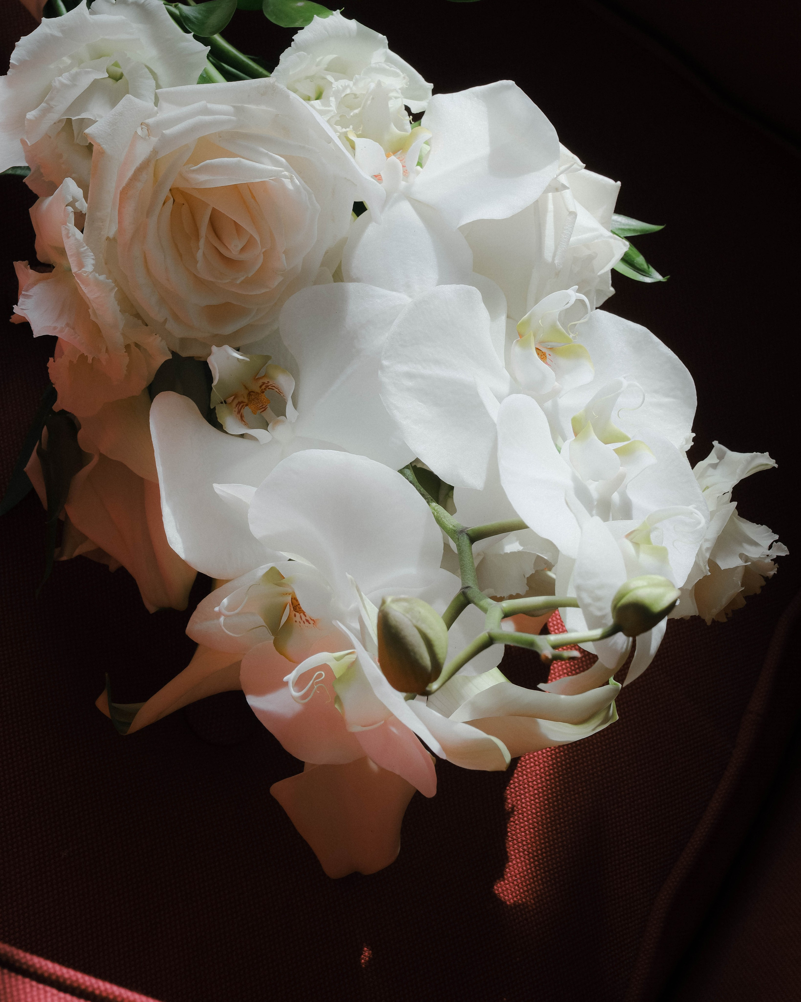 Wedding. Фотограф в горах Грузии | Казбеги и Гудаури