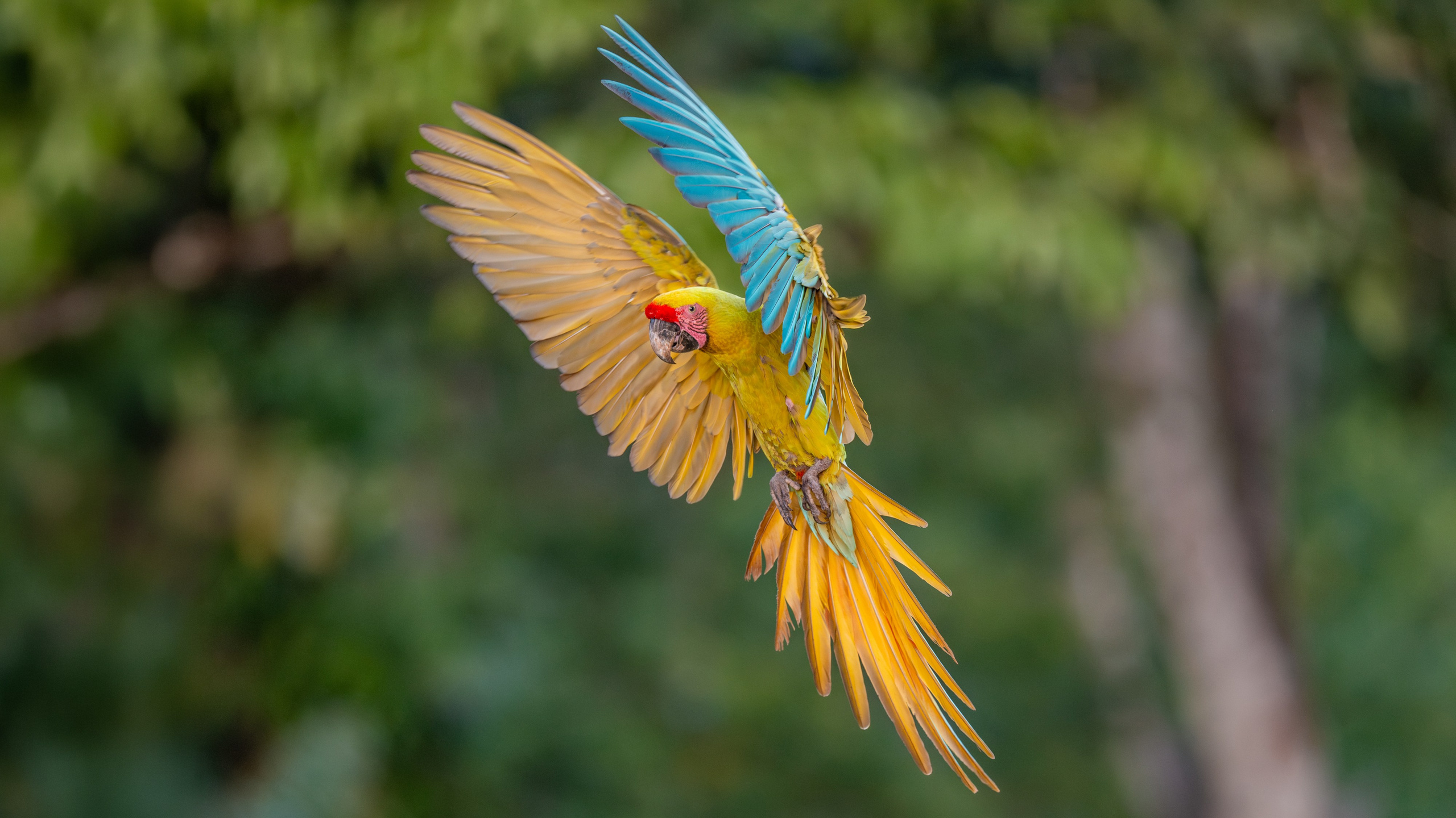 Nature photographer Yuri Soria-Galvarro