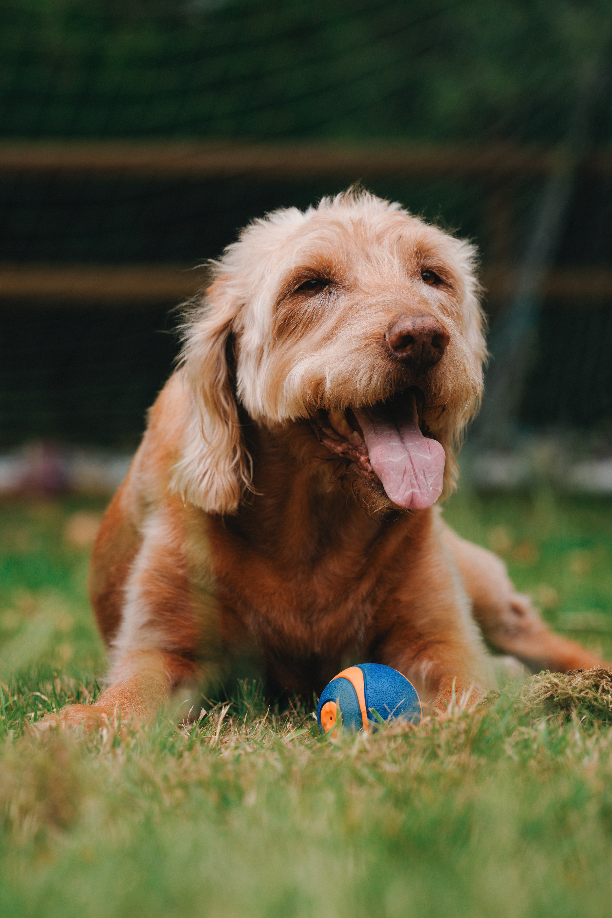Family birthday photo session in Henley in Arden. Creative Family, Brand, Boudoir and Wedding Photographer in Solihull & Birmingham Irina Zoteeva