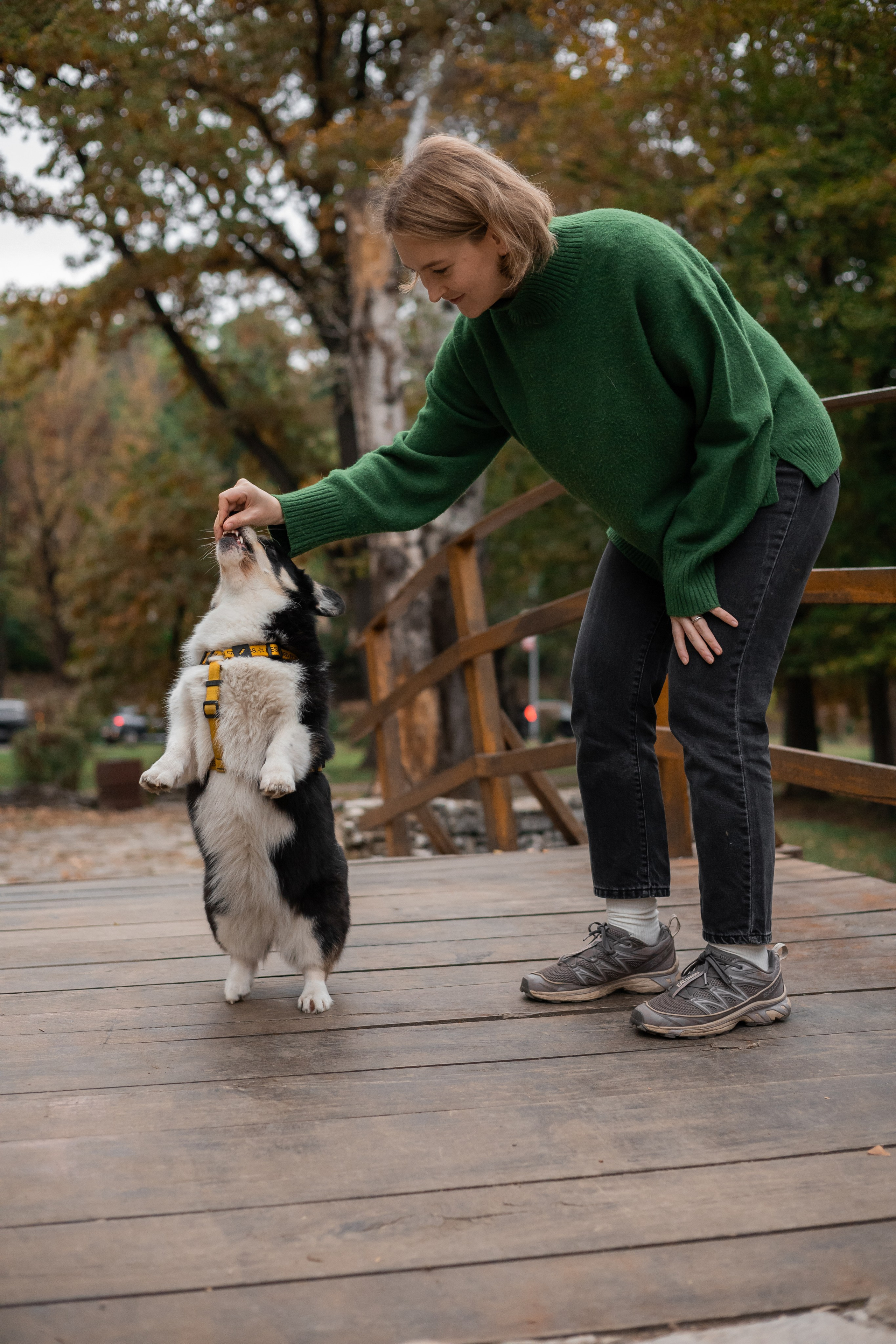 Даня, Аня и Плюша. Фотограф-анималист | Белград