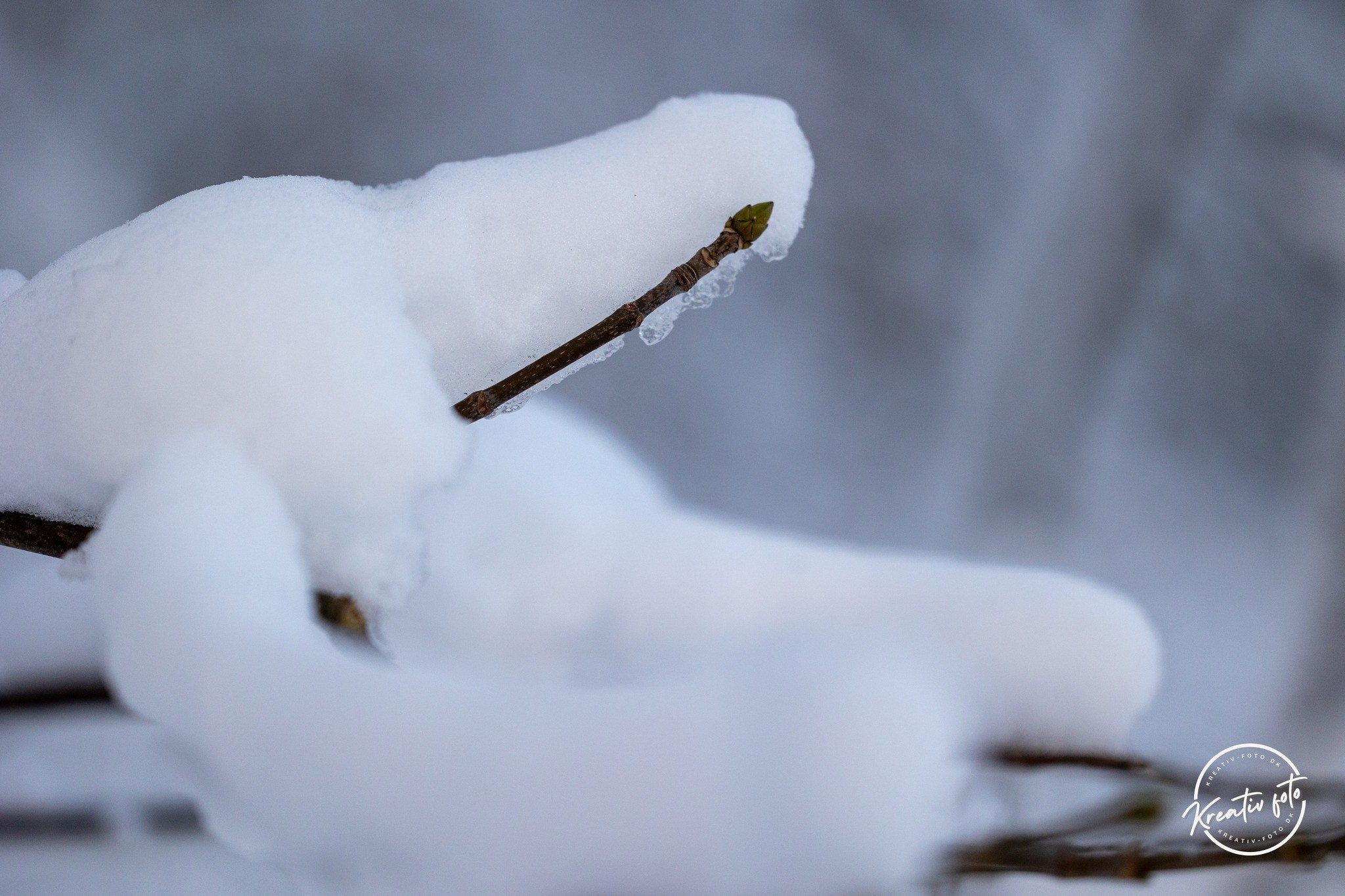 Vinter. Fotograf Aarhus | Portrætfoto Århus | Flotte billeder