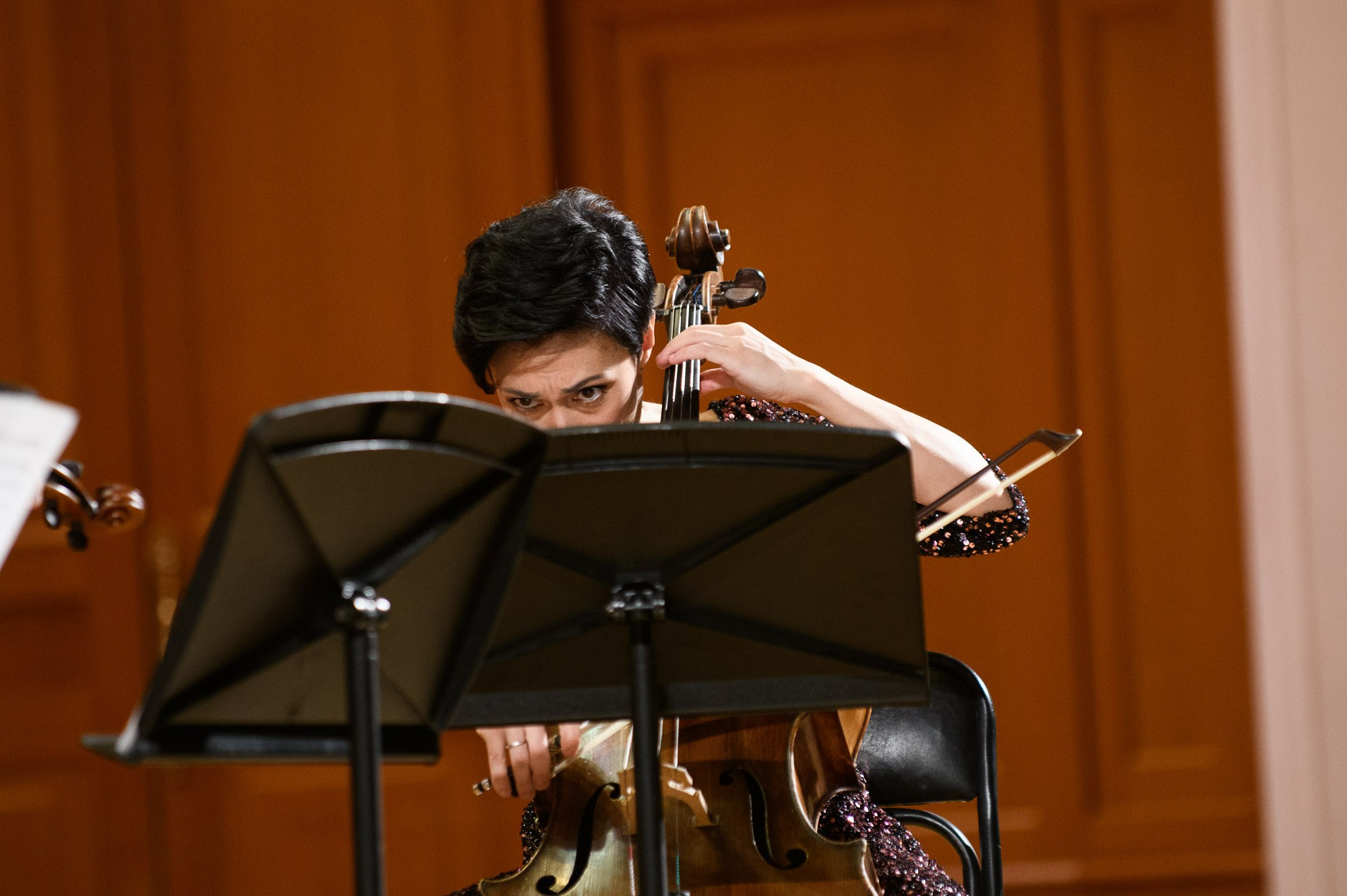 Concerts. Alexander Kabanov Photographer