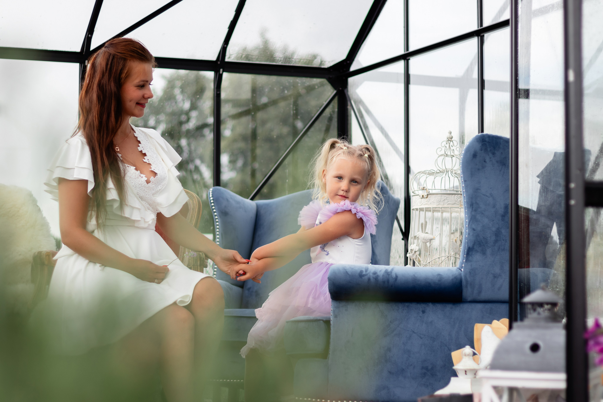 Лавандовое поле