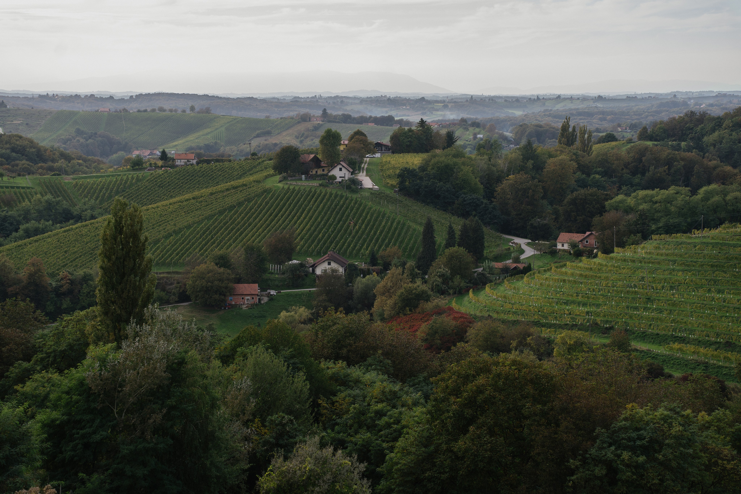 A dreamy scenery. Patricia Morenci — Mountain Adventures for the Wild at Heart