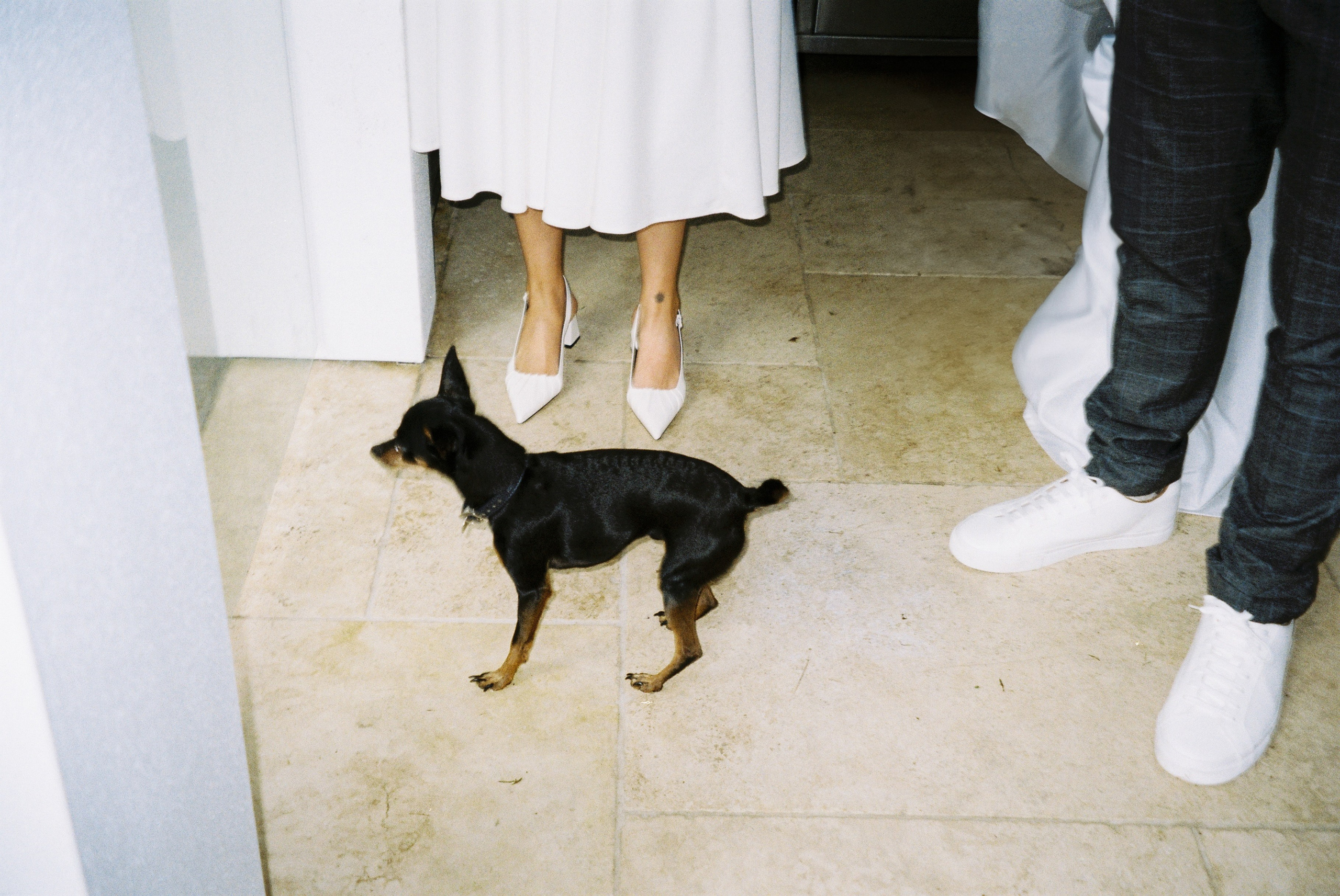 Engagement Party. Film portrait photographer