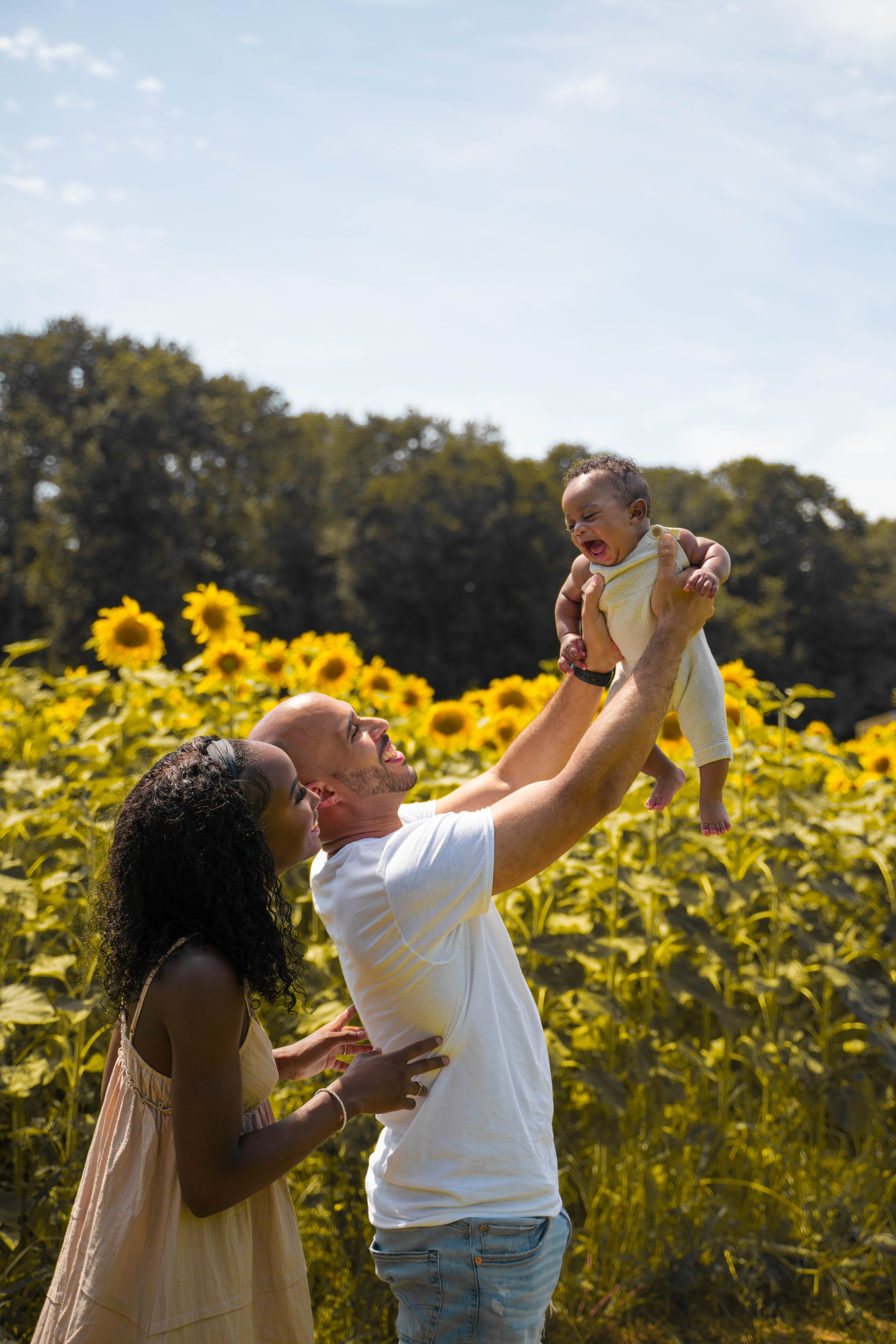 Jennifer and Louis at Sunflowers Farm. Stefanovich Photography | Boston, MA