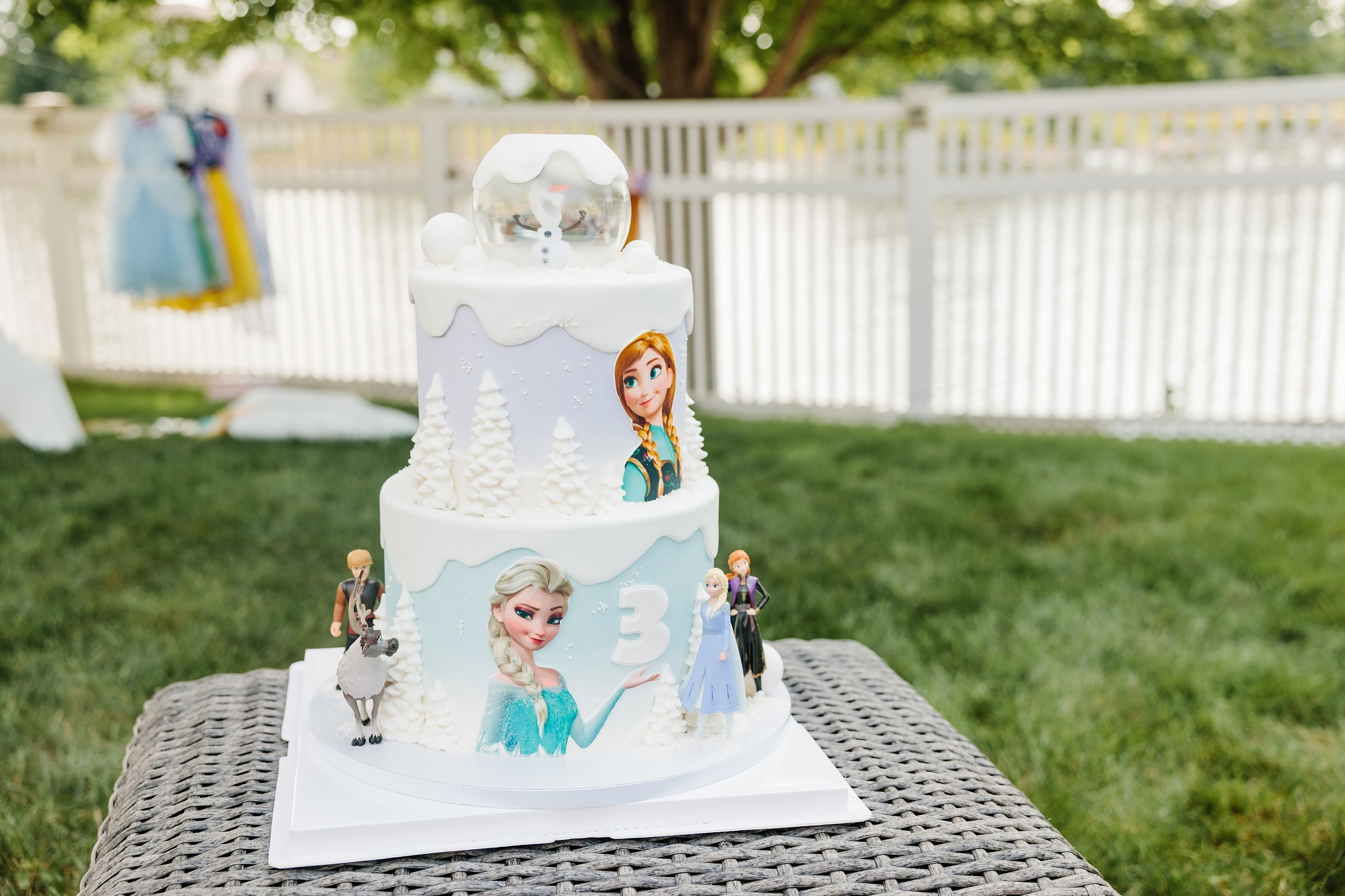 07.27.2024 Birthday Party. Wedding family event photographer in Chicago Nick Yushevich