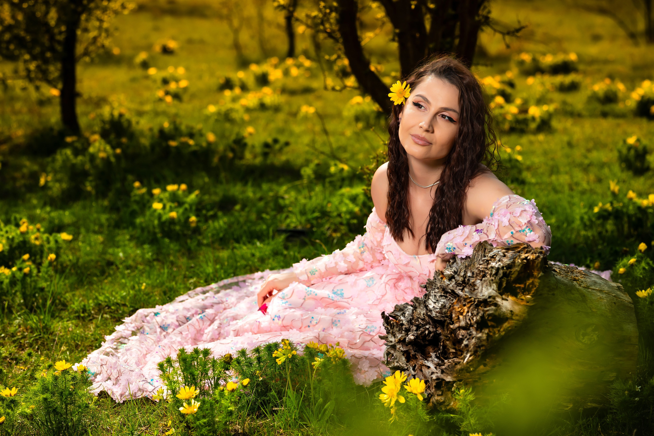 Roxana. Ionut Brehuescu — Fotograf