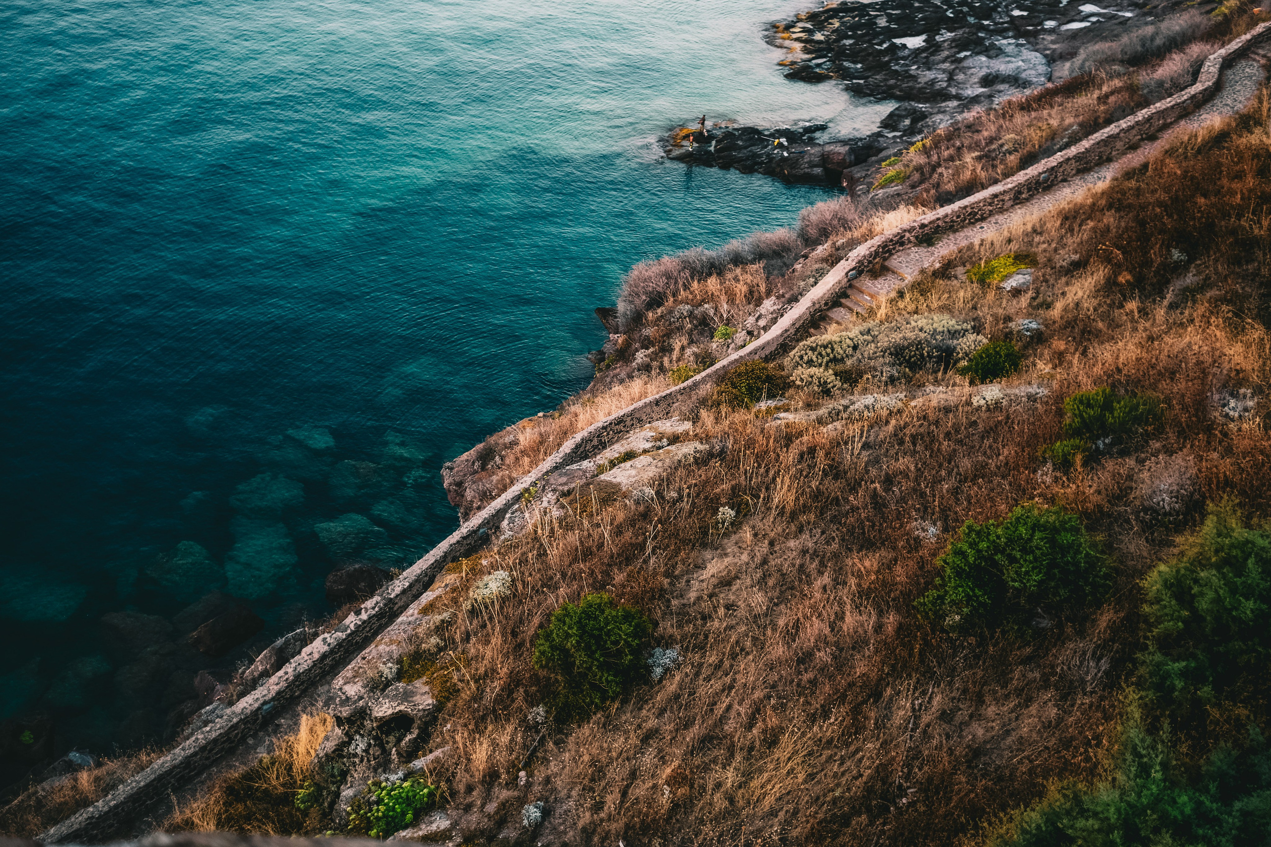 Naturalistica. Frank Prochilo Photography