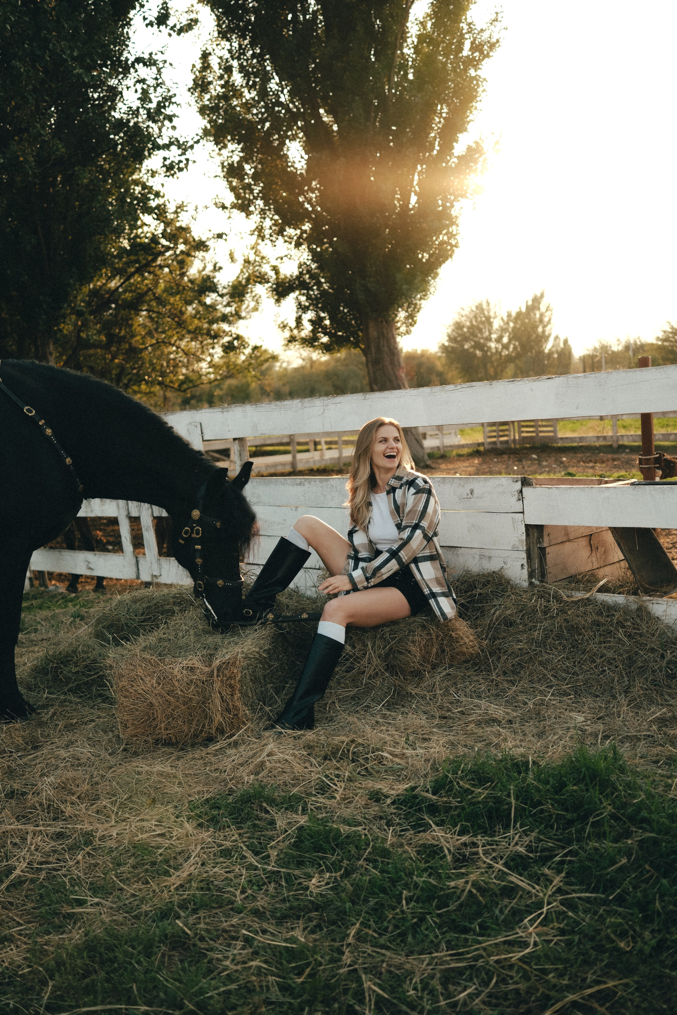 Horse photoshoot | Elena. Главная