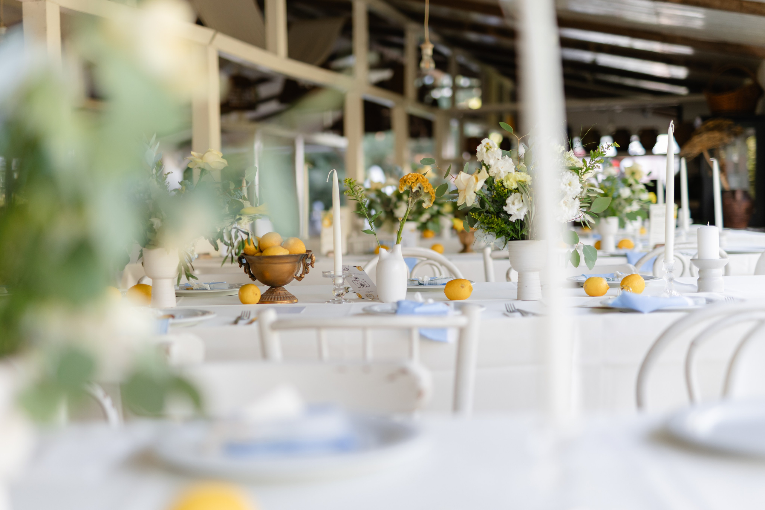 Natalia & Costin. Main