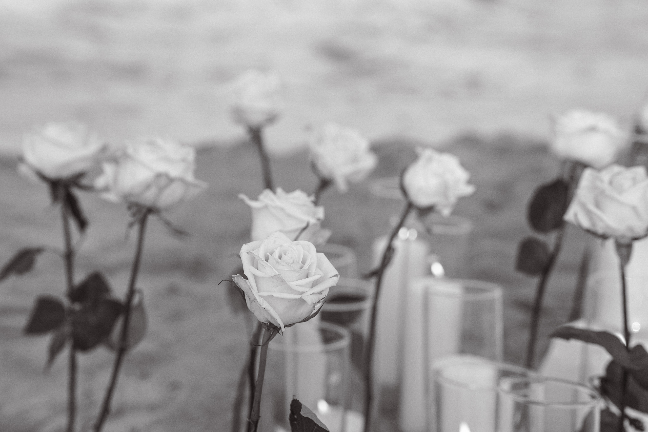 Beach engagement. New York + travel photographer