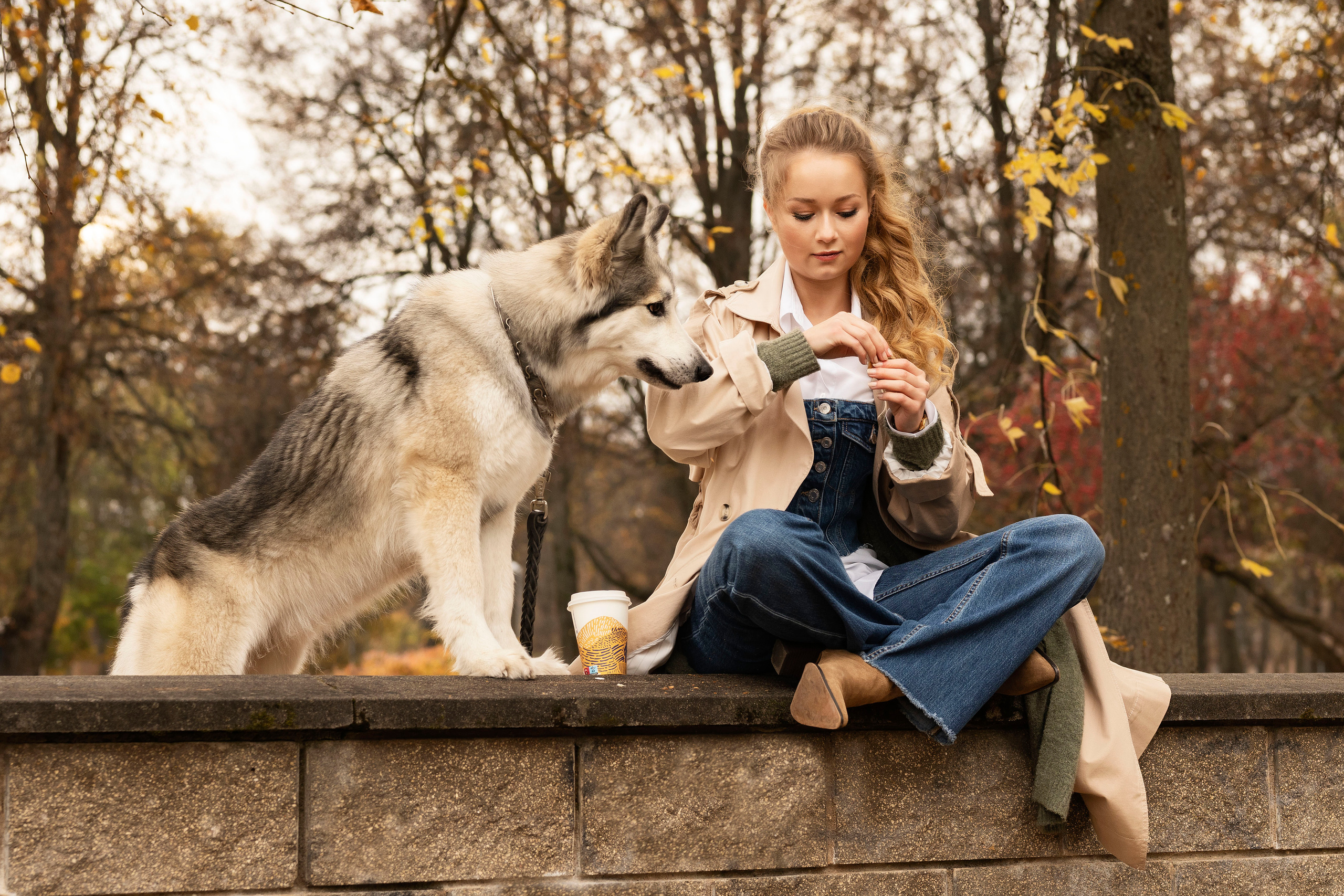 Настя и хаски. Осеннее настроение. Анна Григьян — фотограф ретушёр в Даугавпилсе (Латвия)