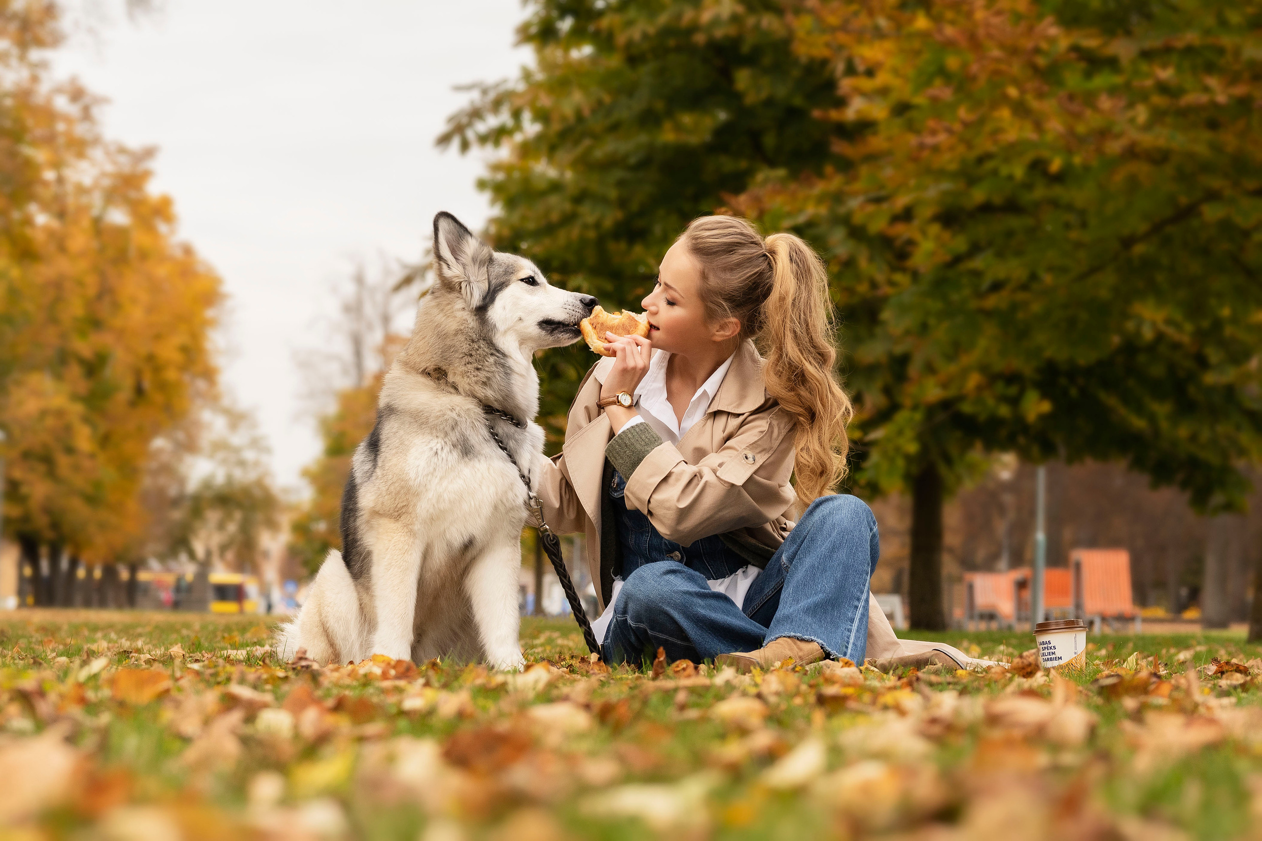 Настя и хаски. Осеннее настроение. Анна Григьян — фотограф ретушёр в Даугавпилсе (Латвия)