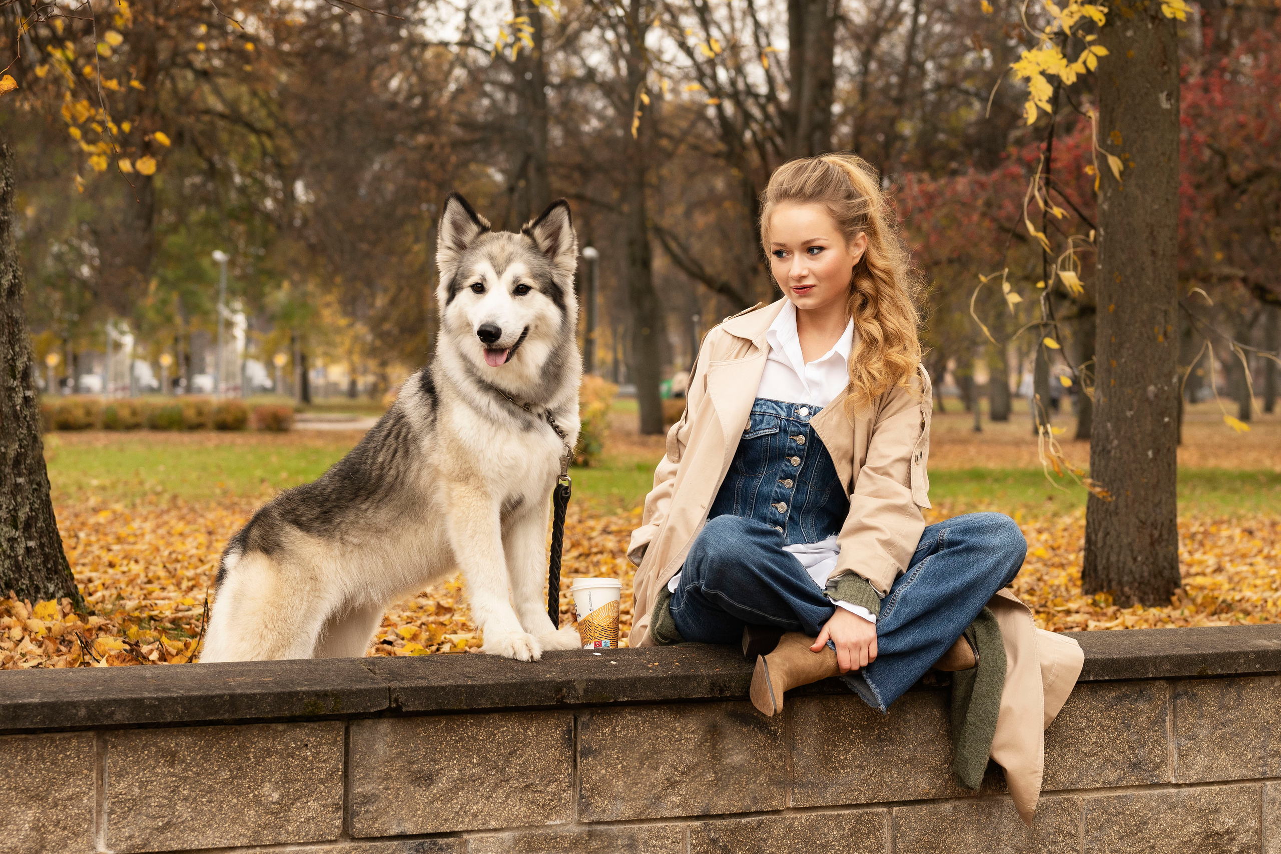 Настя и хаски. Осеннее настроение. Анна Григьян — фотограф ретушёр в Даугавпилсе (Латвия)