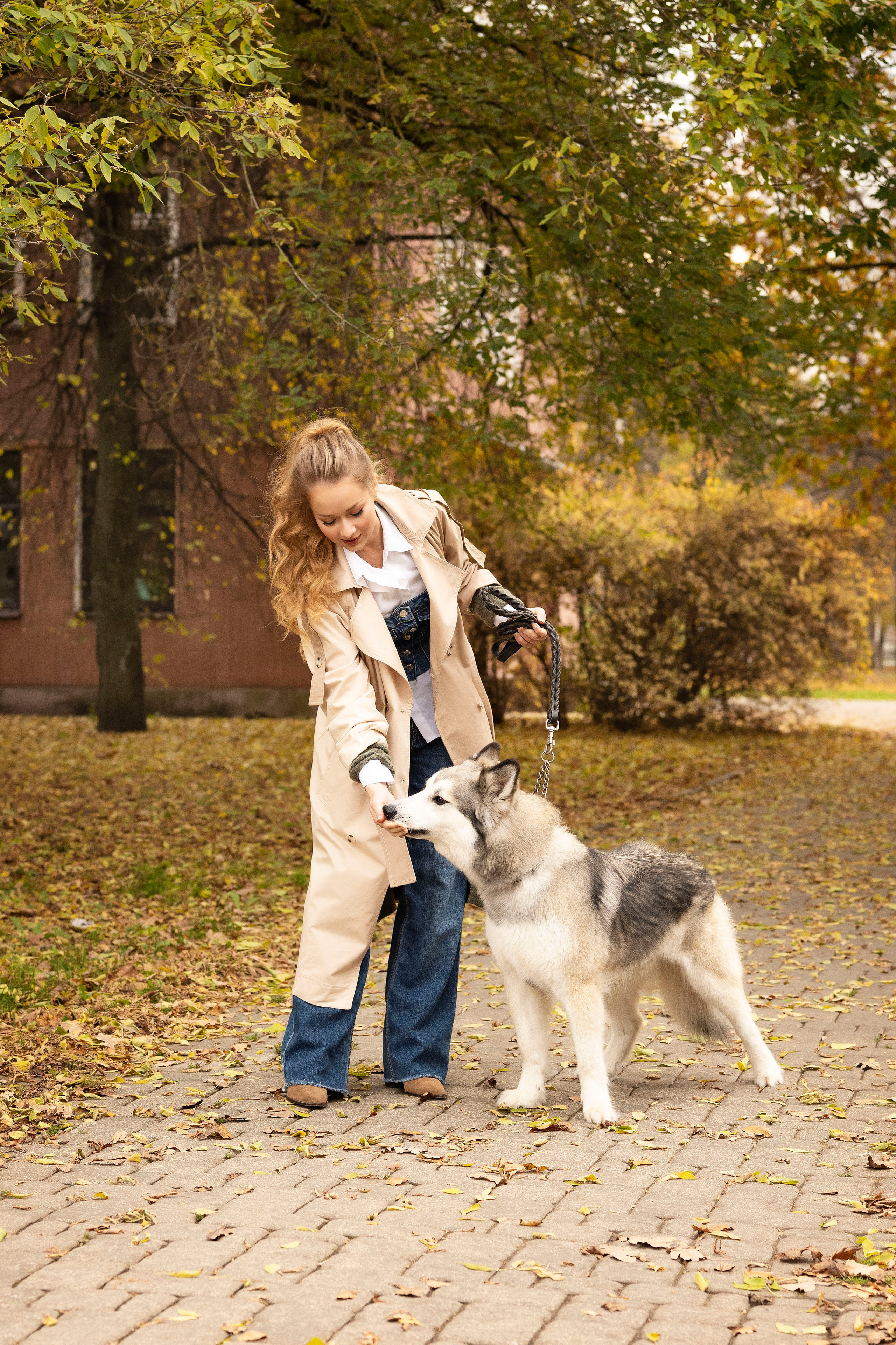 Настя и хаски. Осеннее настроение. Анна Григьян — фотограф ретушёр в Даугавпилсе (Латвия)