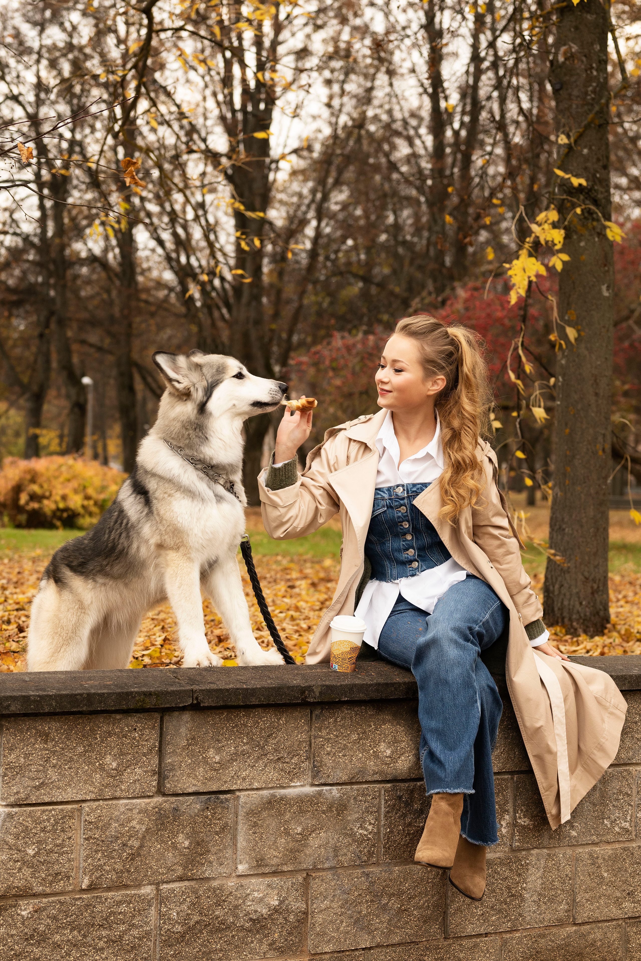 Настя и хаски. Осеннее настроение. Анна Григьян — фотограф ретушёр в Даугавпилсе (Латвия)