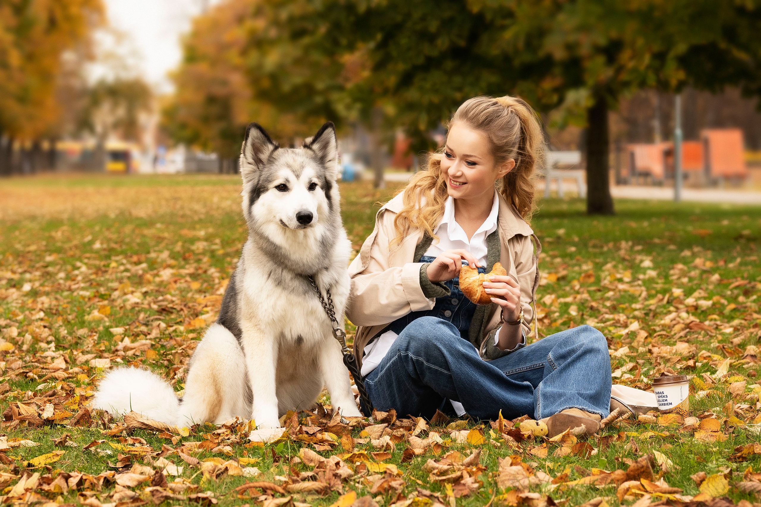 Настя и хаски. Осеннее настроение. Анна Григьян — фотограф ретушёр в Даугавпилсе (Латвия)