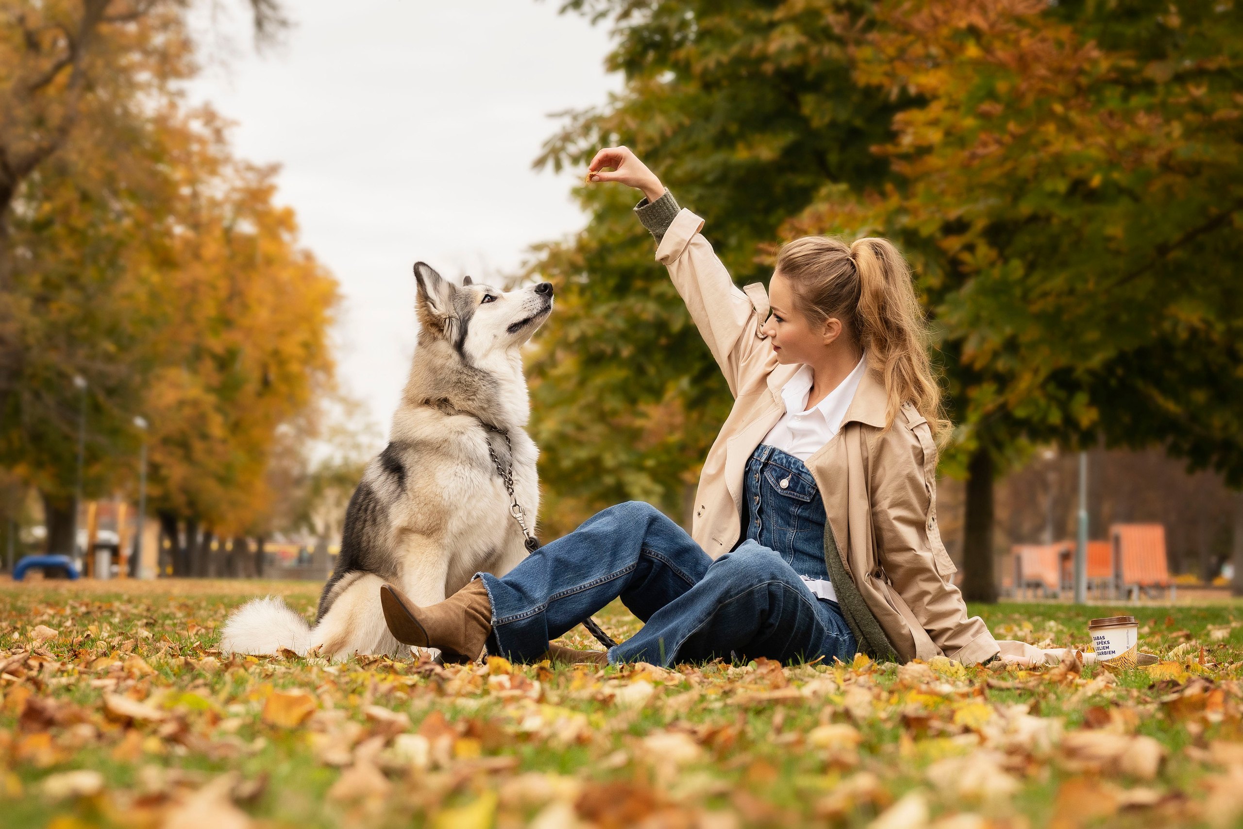 Настя и хаски. Осеннее настроение. Анна Григьян — фотограф ретушёр в Даугавпилсе (Латвия)