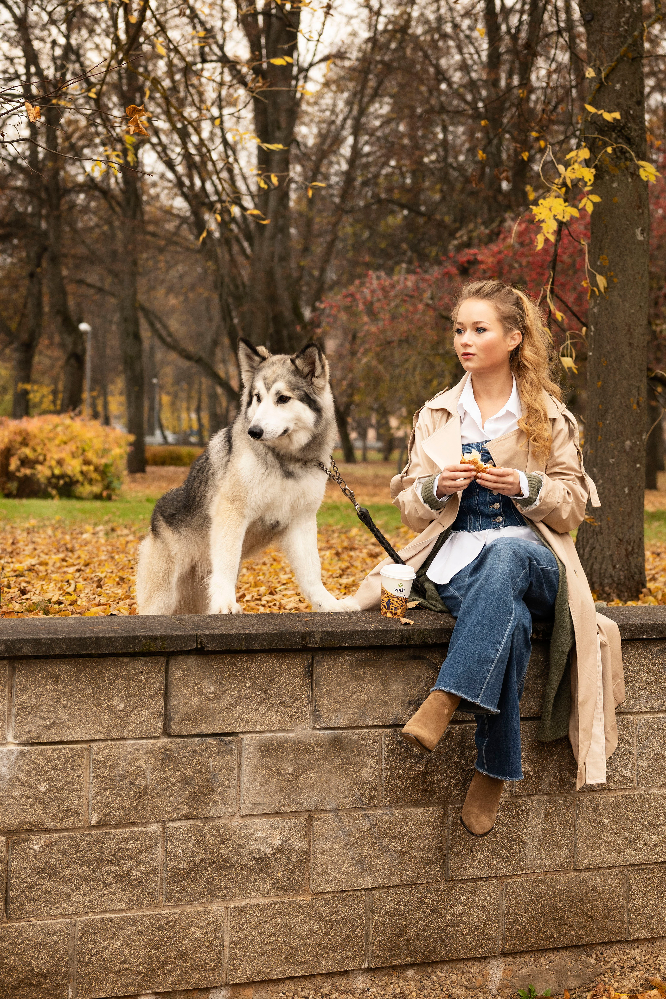 Настя и хаски. Осеннее настроение. Анна Григьян — фотограф ретушёр в Даугавпилсе (Латвия)