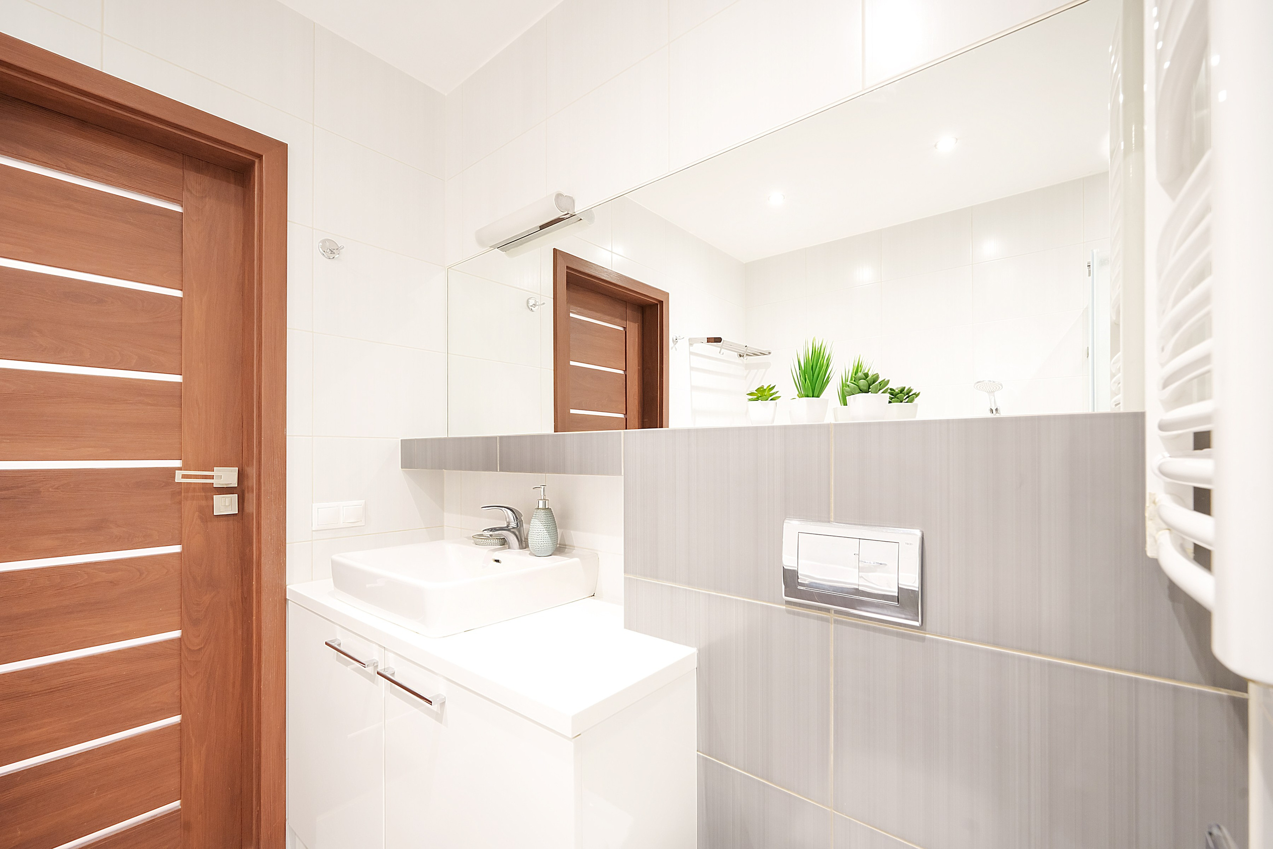 Bajorų kelias 1. Elina Sapiega fotografė Vilniuje