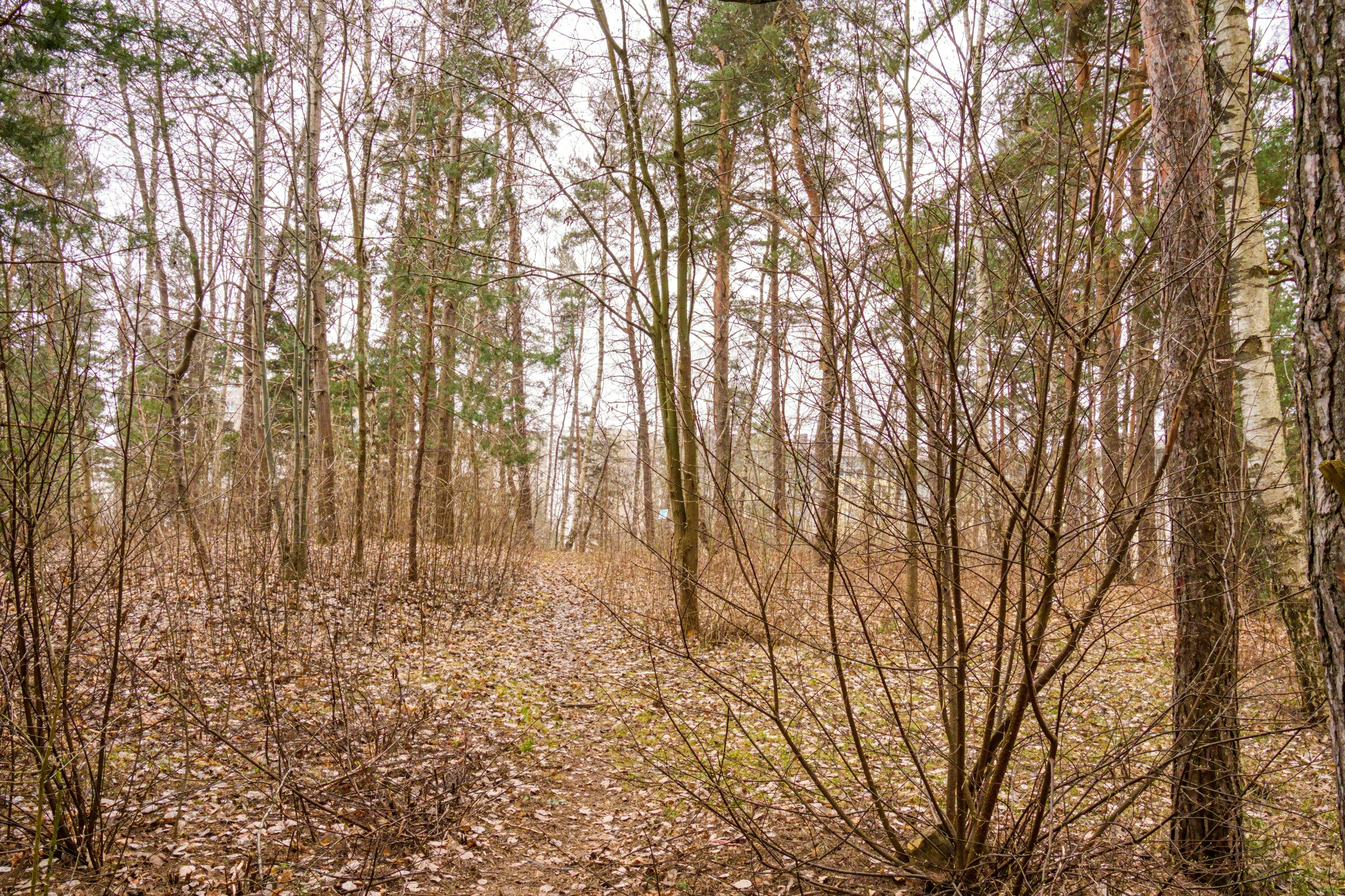 2--jų kambarių butas L. Gyros 80, Vilnius. Elina Sapiega fotografė Vilniuje