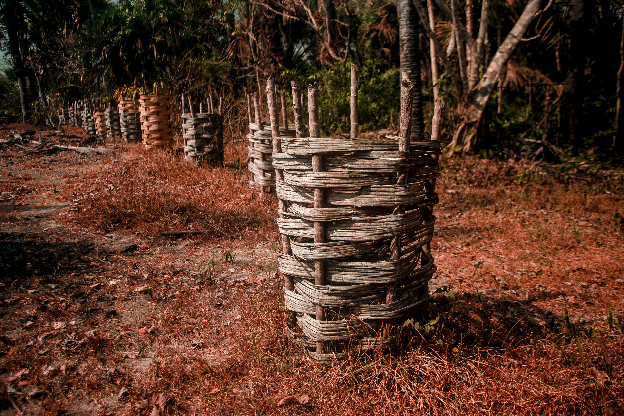 Andaman Islands, Part2. Art Photographer
