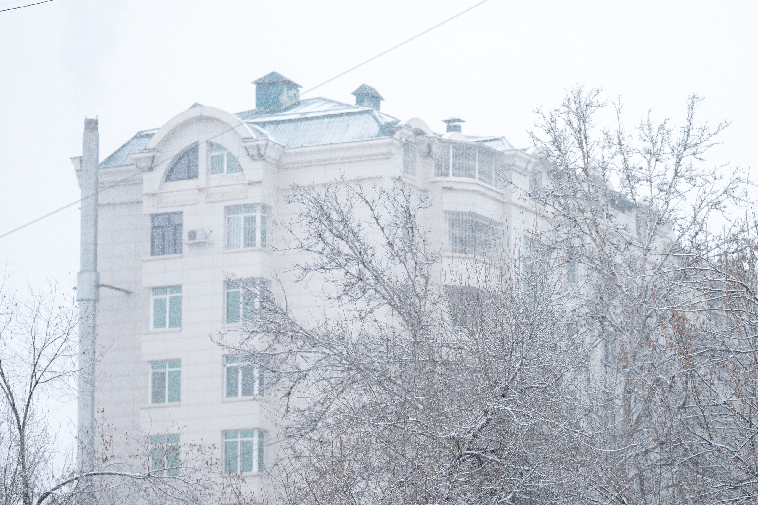 Первый снег в 2024 году. Георгий Намазов | Фотограф в Ташкенте