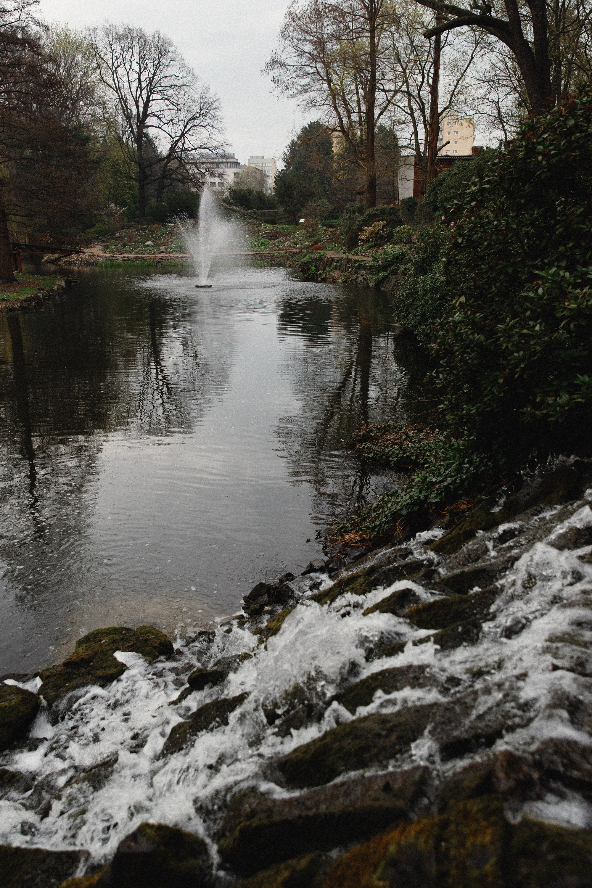 Botanical garden in Wroclaw. Kaja | fotograf we Wrocławiu | ludzie i psy