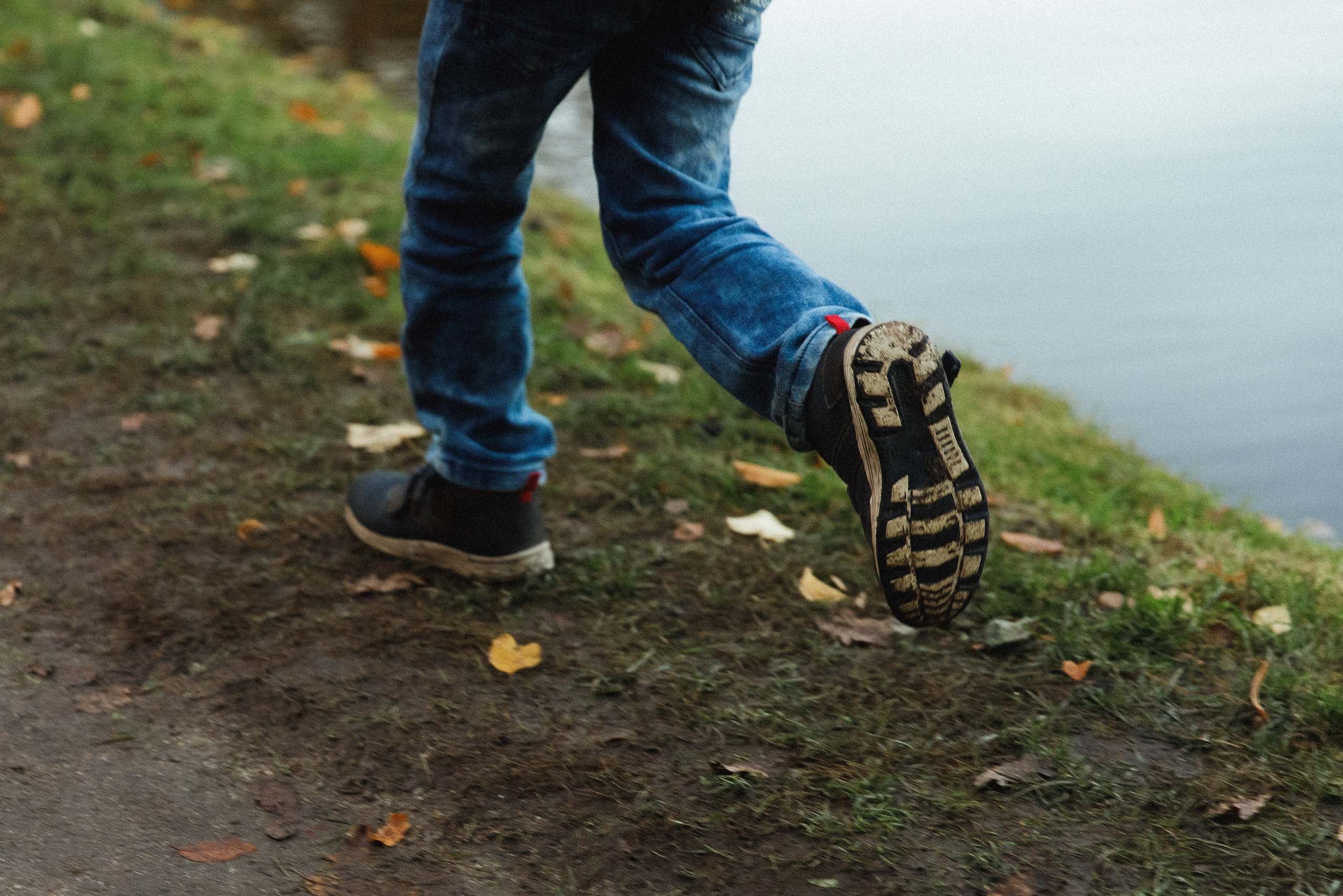 Tatiana & Adam. Kaja | fotograf psów we Wrocławiu