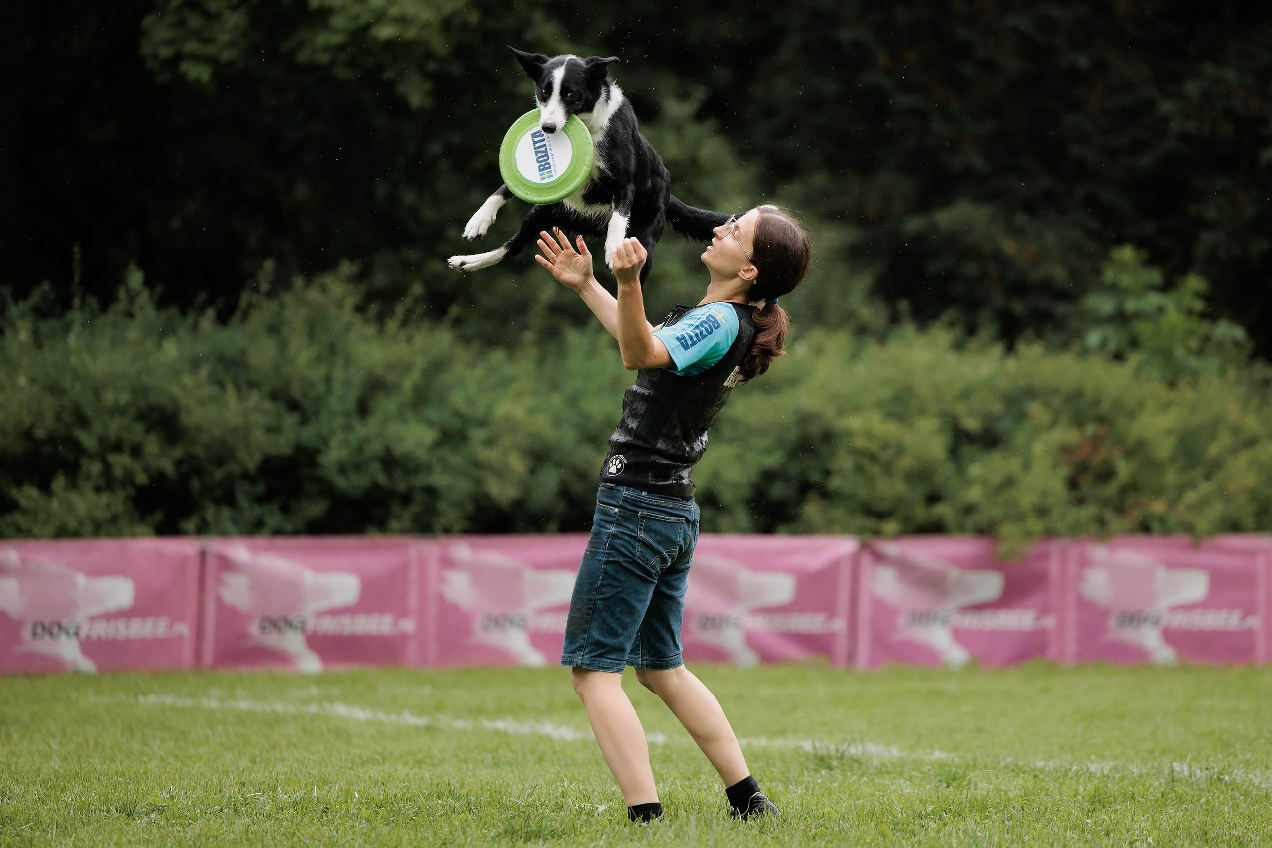 Latające psy, Wrocław'25. Kaja | fotograf psów we Wrocławiu