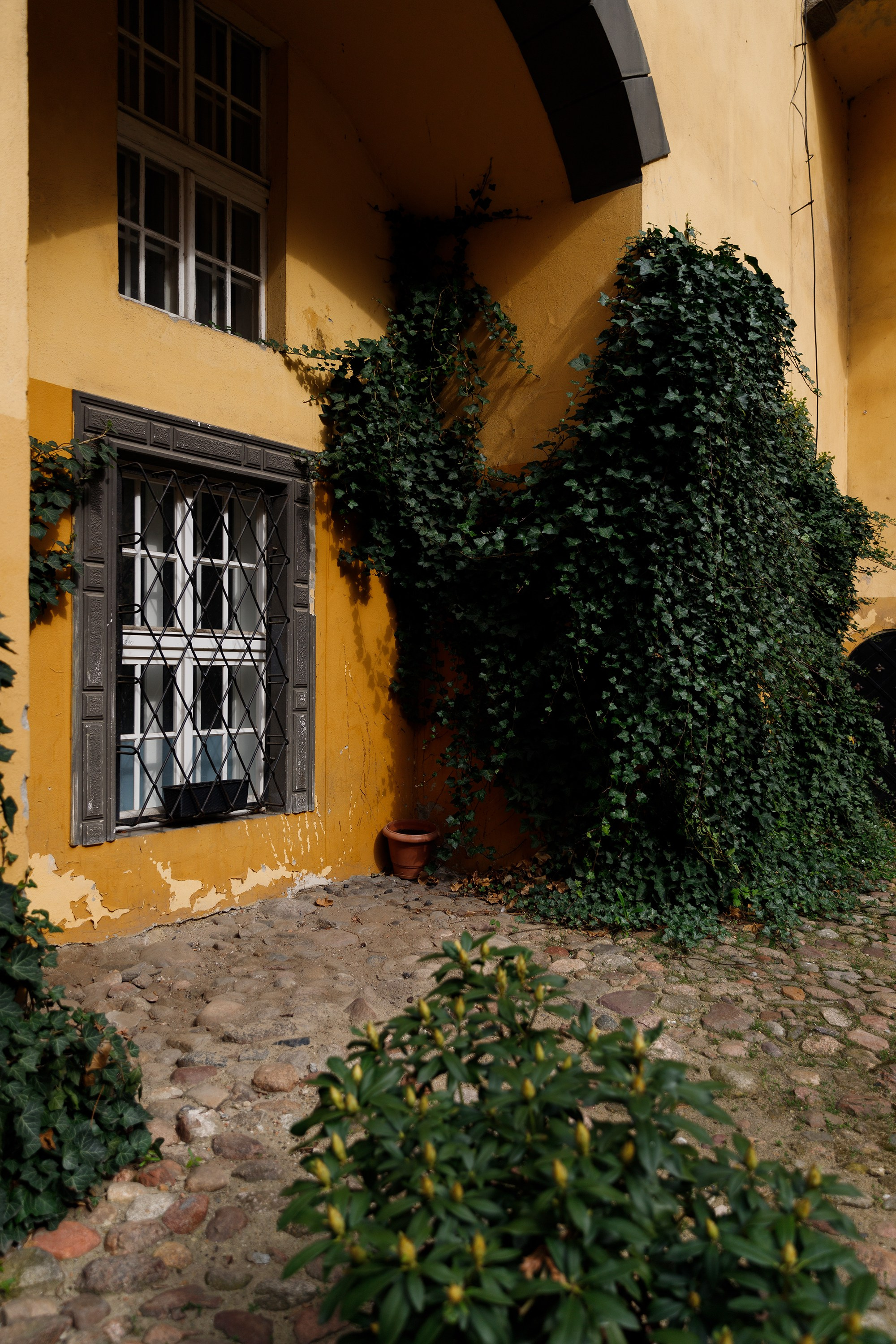 Oleśnica castle. Kaja | fotograf psów we Wrocławiu