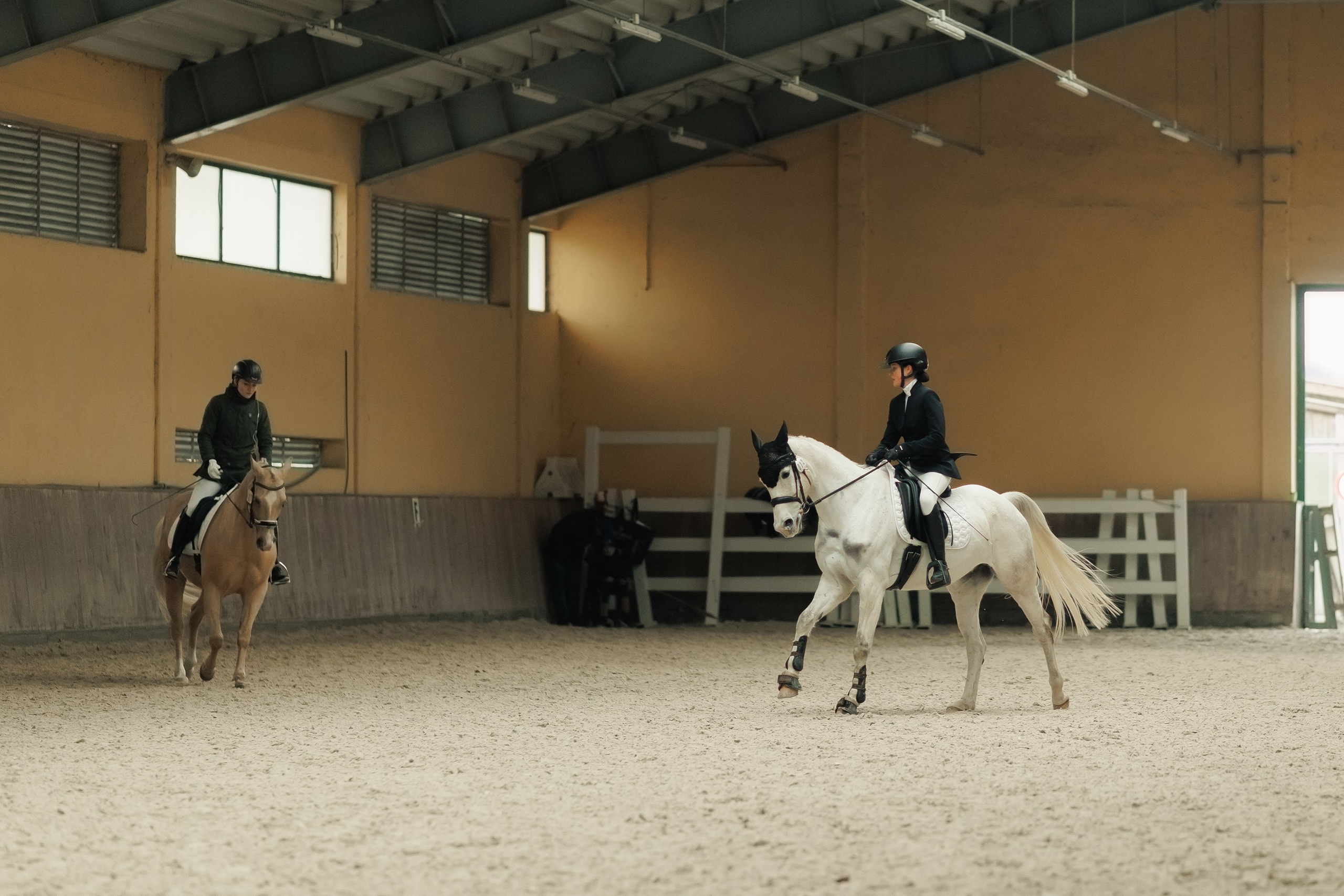 Partynice dressage \ feb'25. Kaja | fotograf we Wrocławiu | ludzie i psy