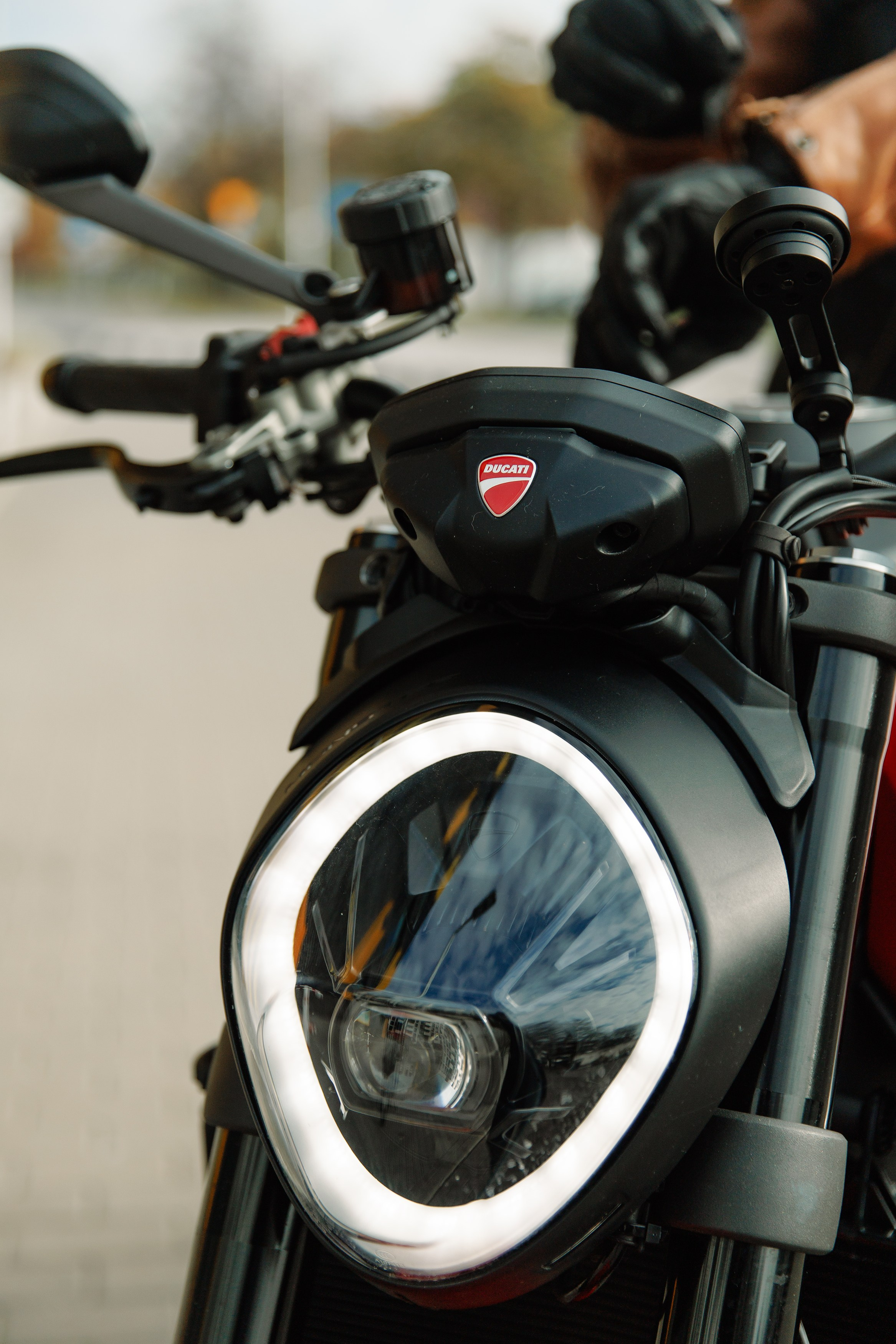 Alex. Kaja | fotograf psów we Wrocławiu