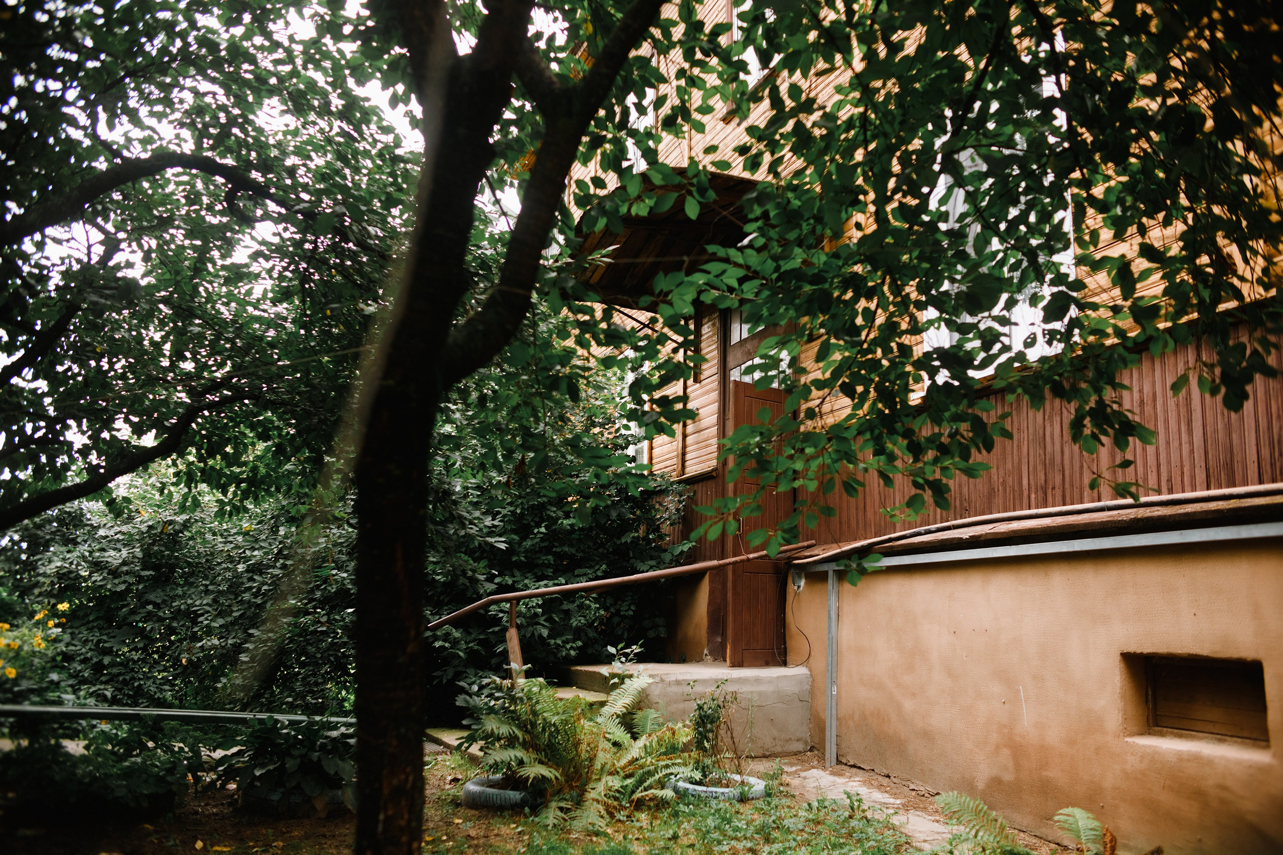 Grodno. Kaja | fotograf we Wrocławiu | ludzie i psy