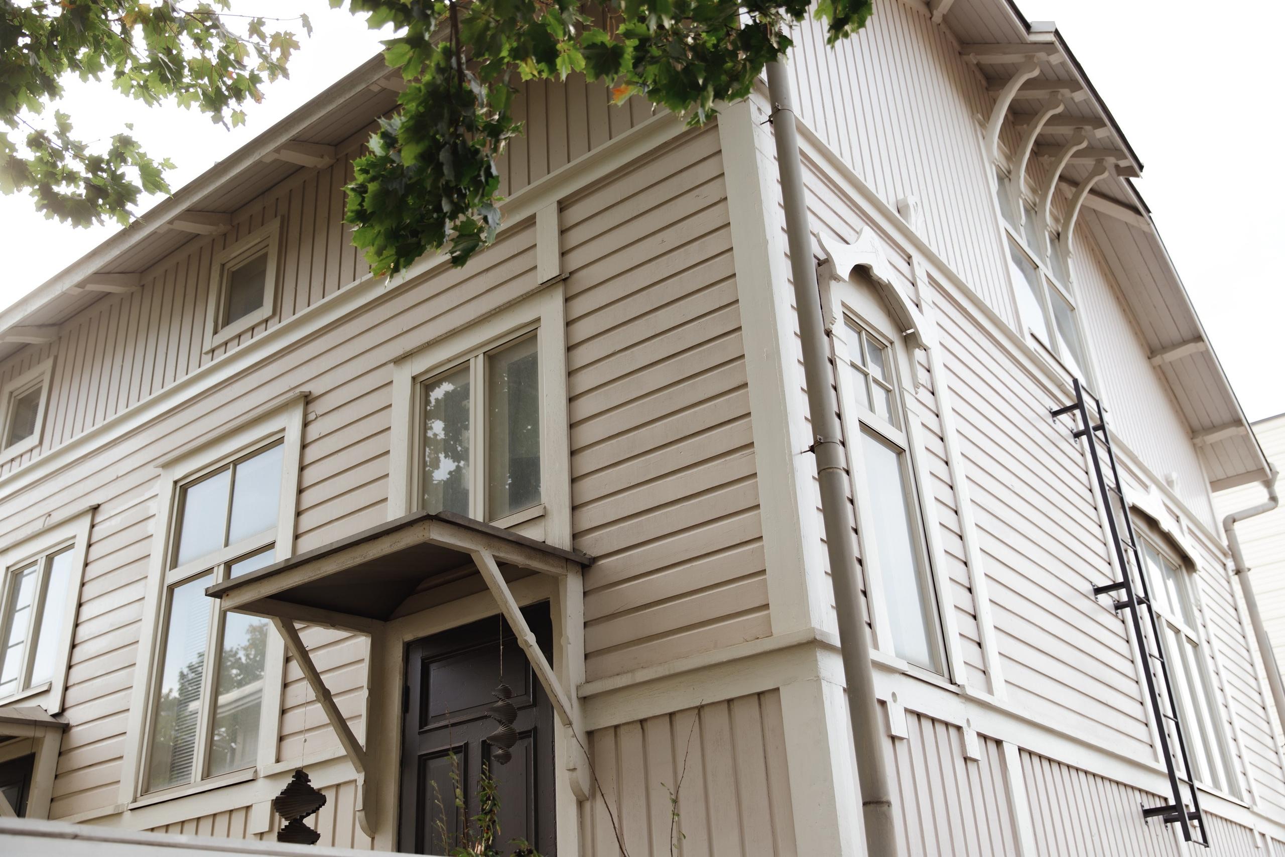 Turku. Kaja | fotograf psów we Wrocławiu