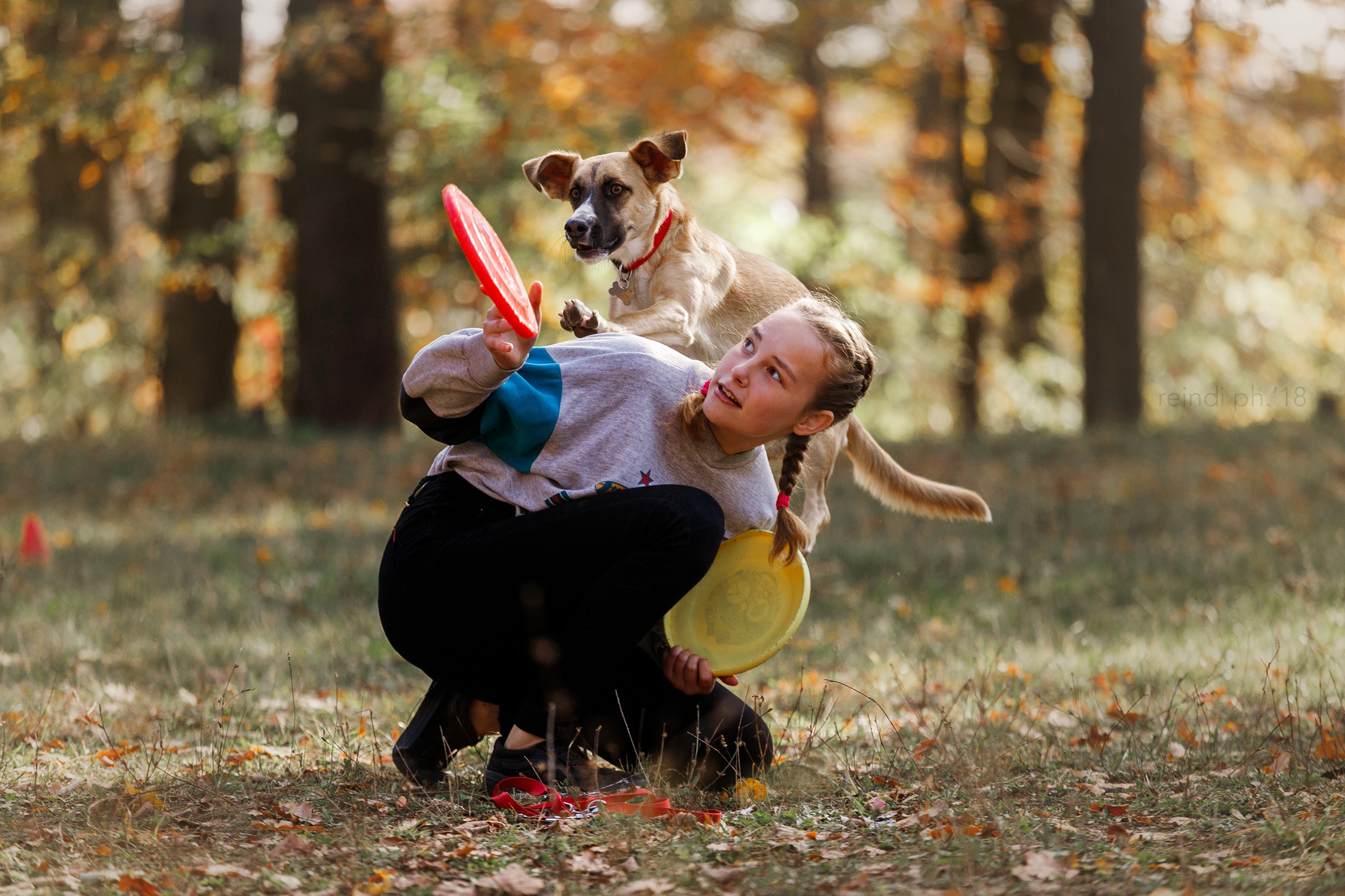 Frisbee and dog puller championship | autumn. Kaja | fotograf we Wrocławiu | ludzie i psy