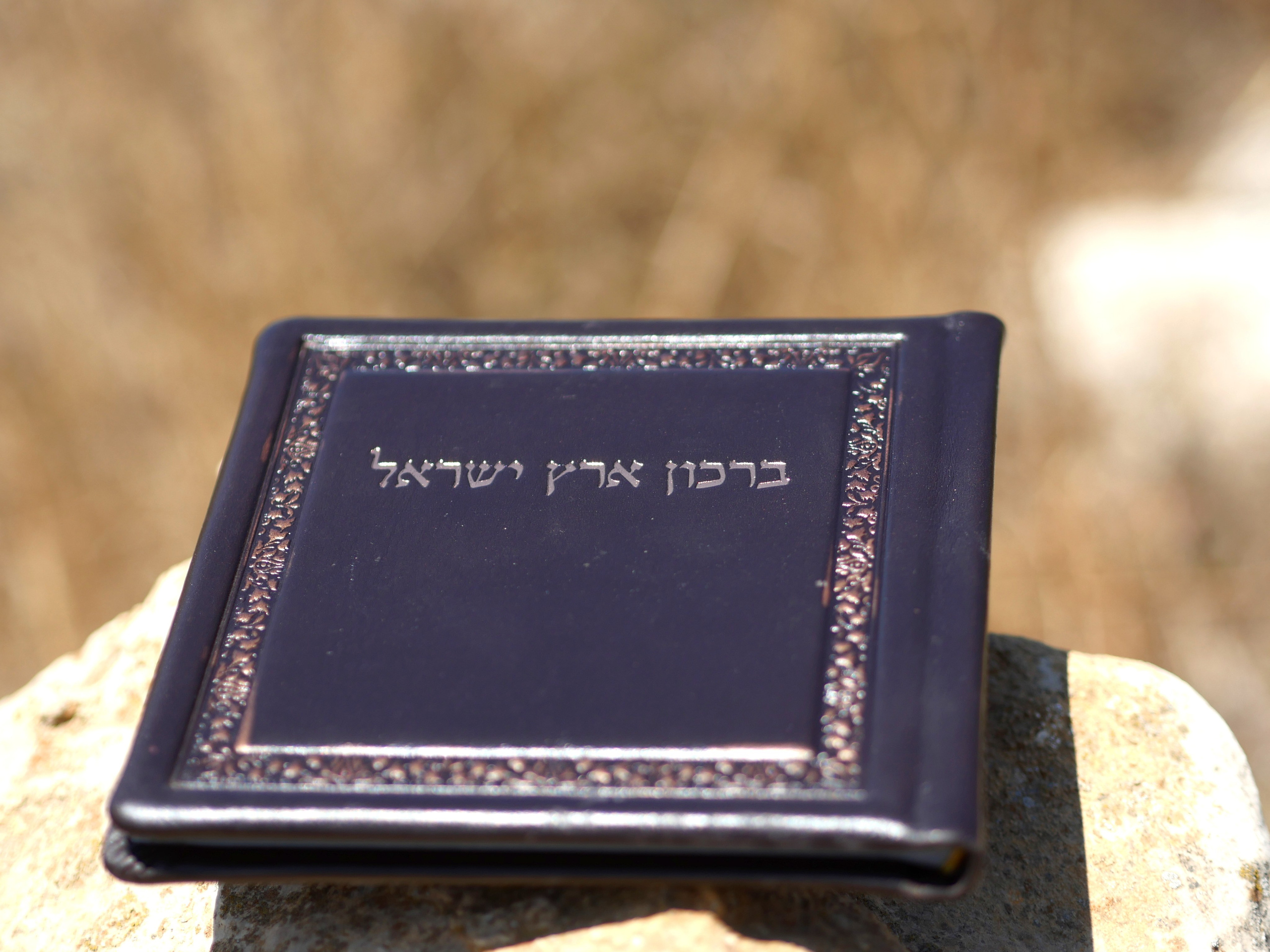 Books. Portrait & Event photographer in Israel — Rebecca Kowalsky