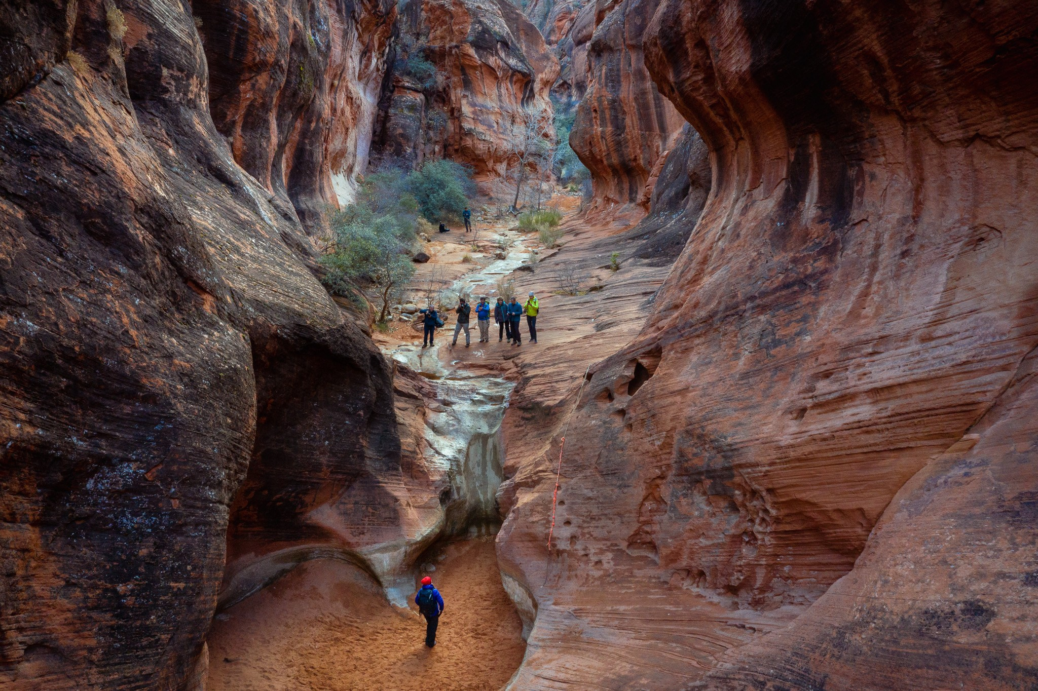 New Year In Utah. Pet, Senior, Landscape, portrait studio, photographer in Miami and Sou