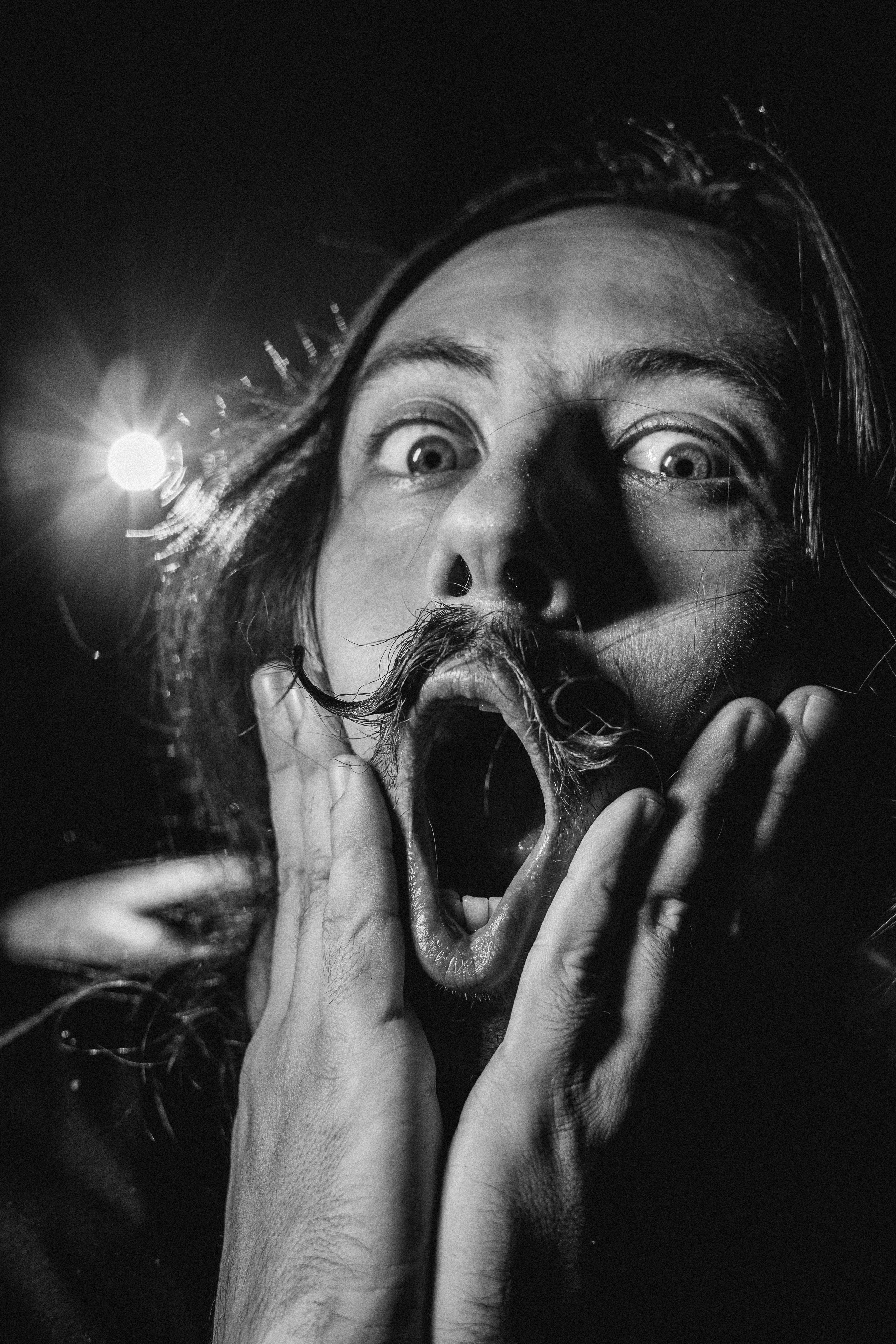 MR CAT. Профессиональный фотограф Нурмиева Вероника