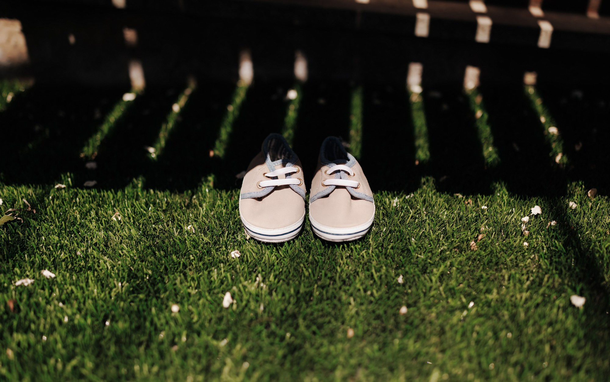 Leonard. Wedding photographer and videographer