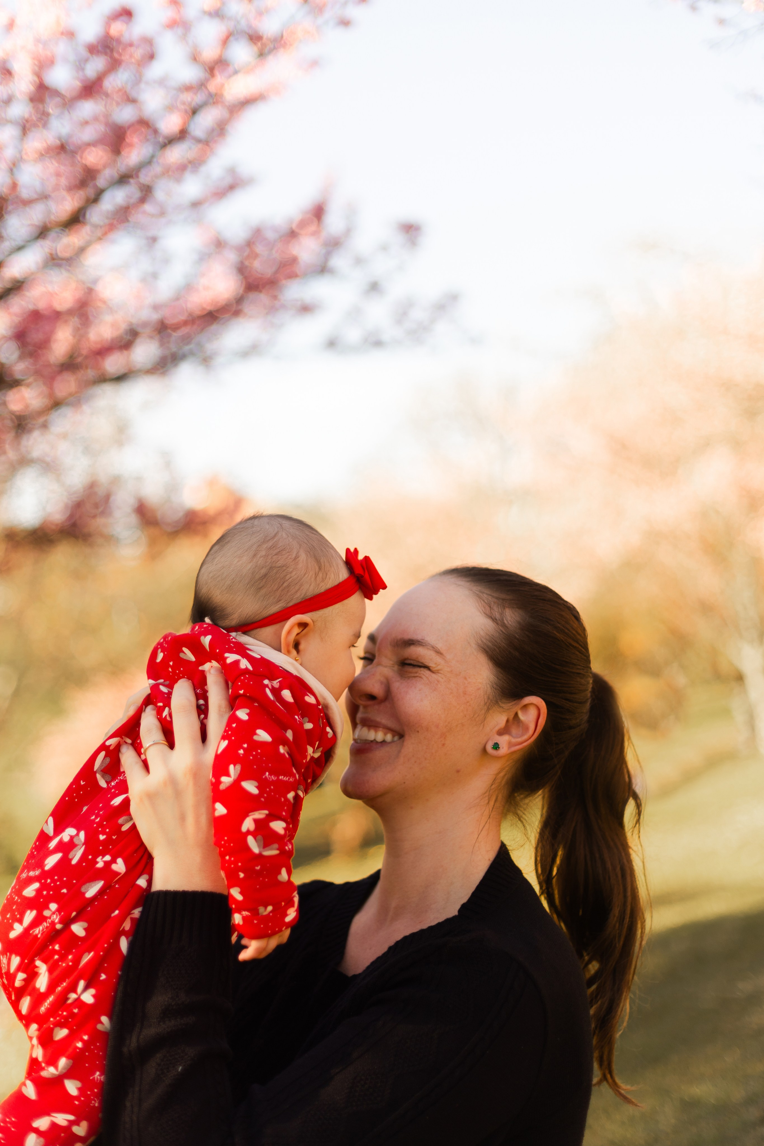 Minha familia nas cerejeiras