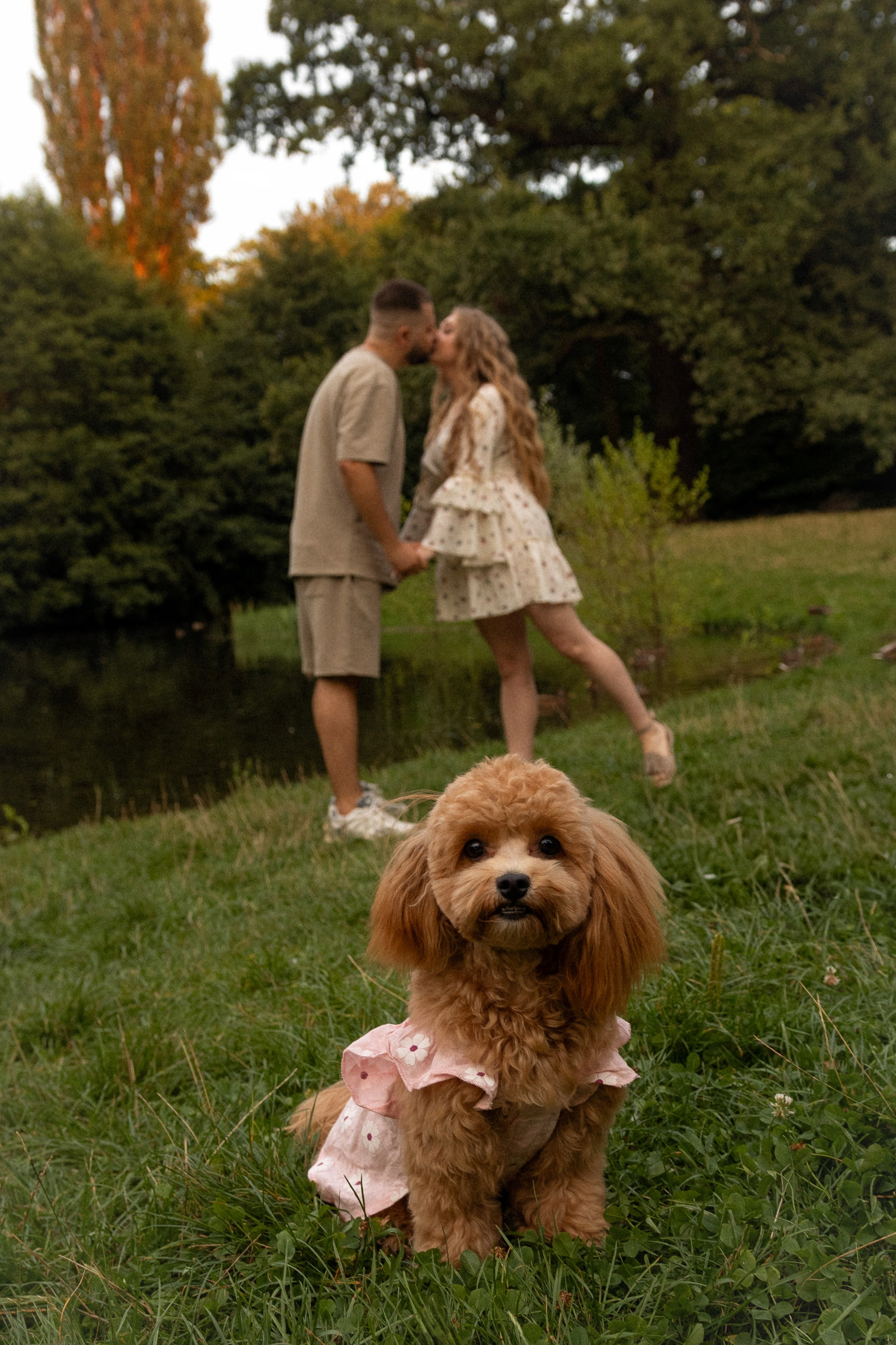 Love story. Twórczość fotograficzna