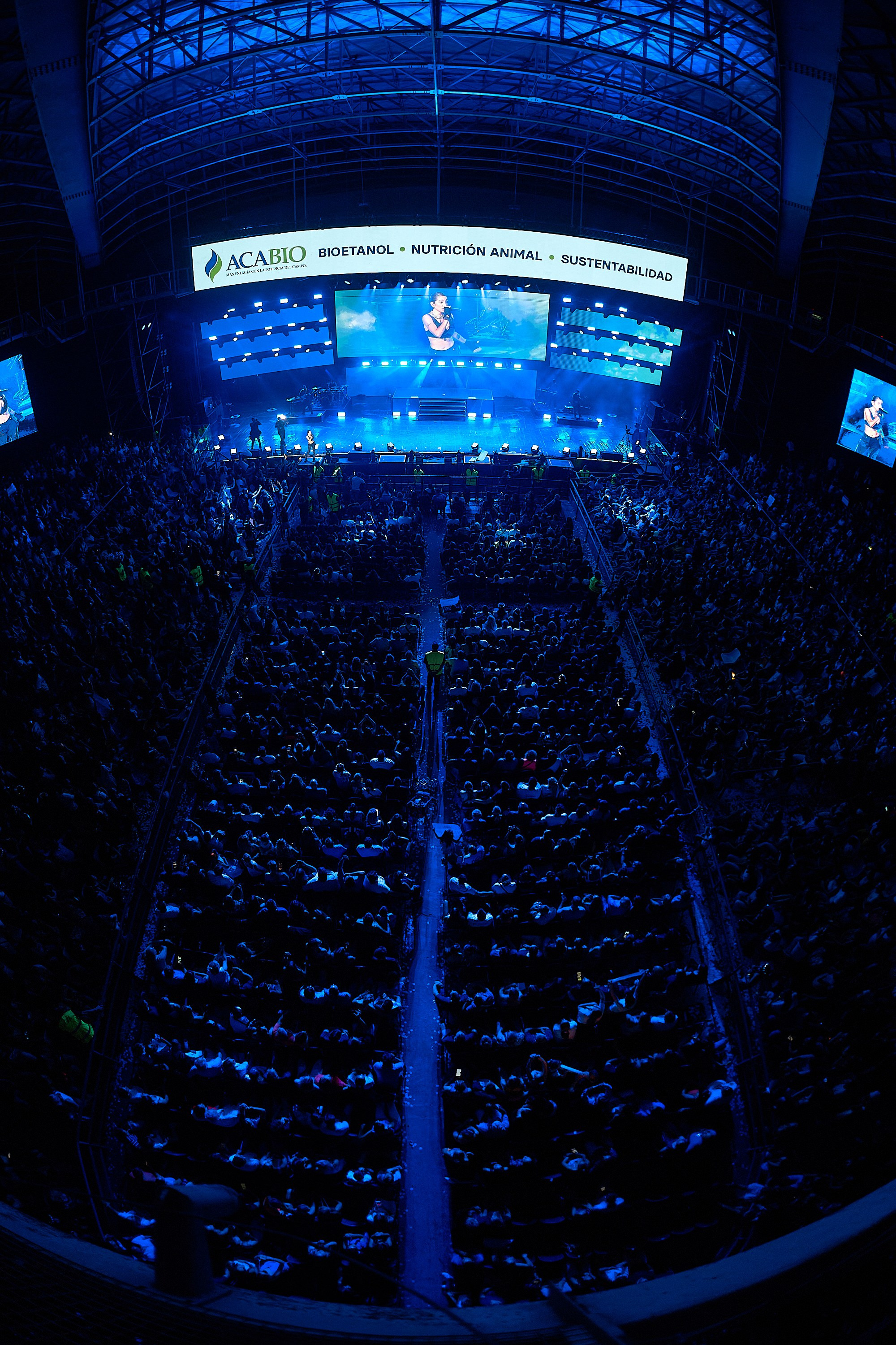 FESTIVAL DE PEÑAS | 2024. Marcos Ferrari Fotógrafo